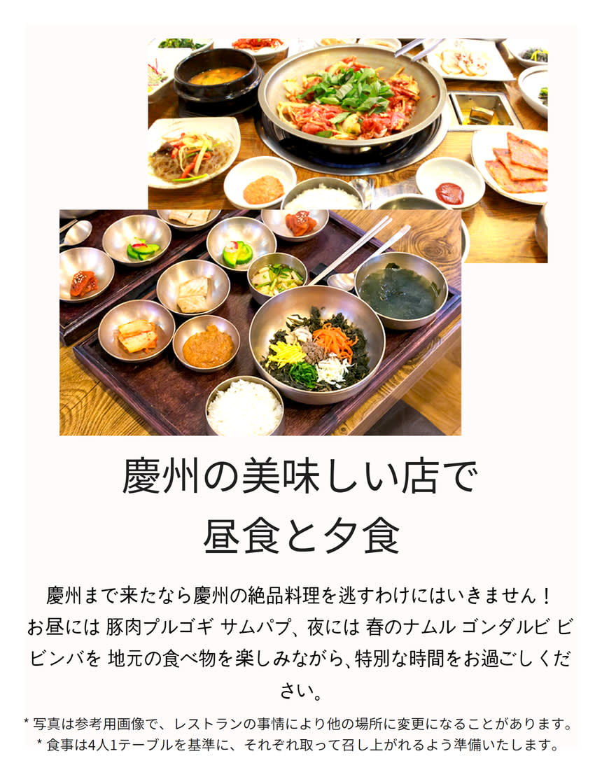 [汽車当日の旅行] 慶州へ行く春の花のお出かけ (大陵苑 春の花/ 仏国寺 桜)