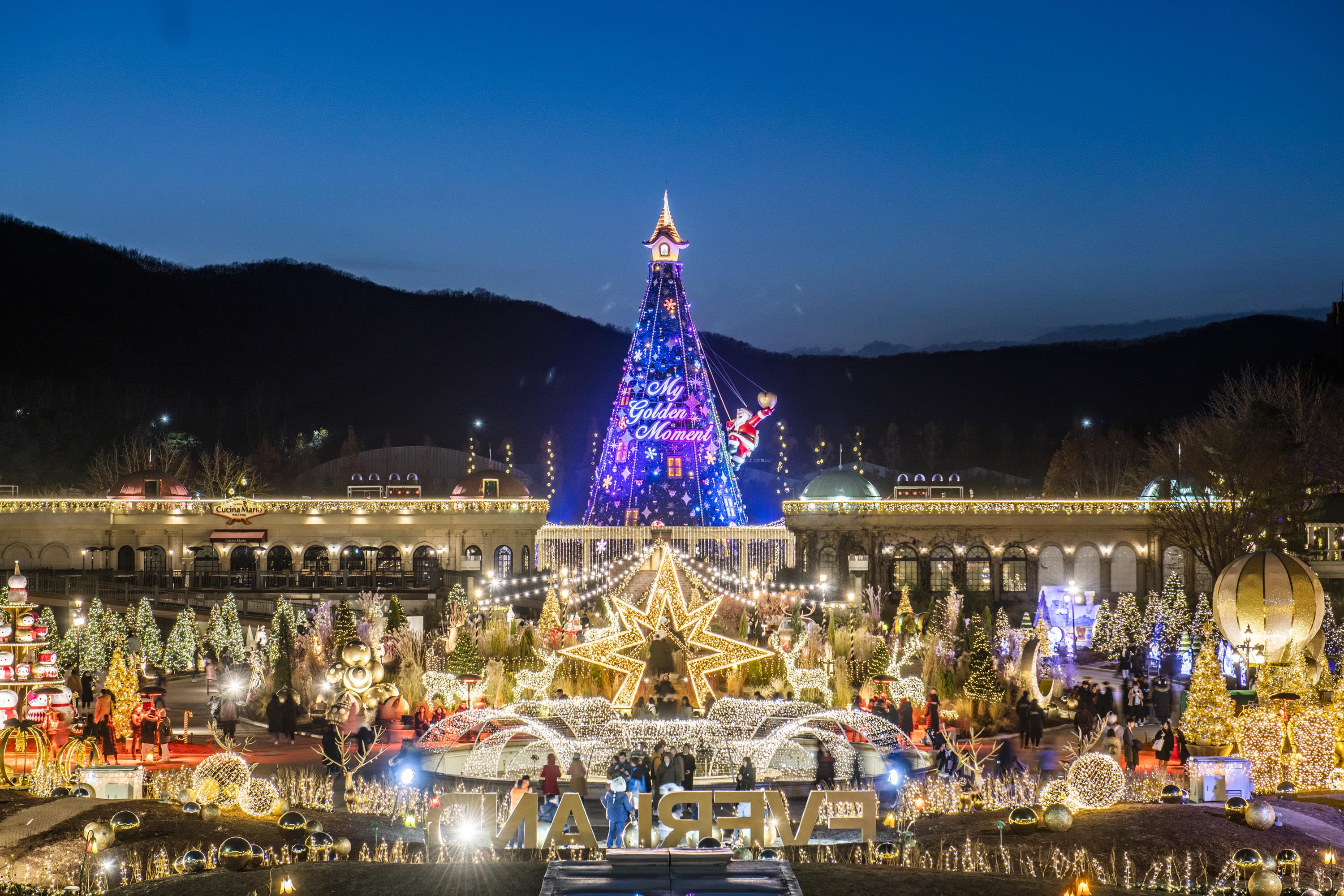 [Seoul] EVERLAND Ticket 1 Day Pass & Ticket Package