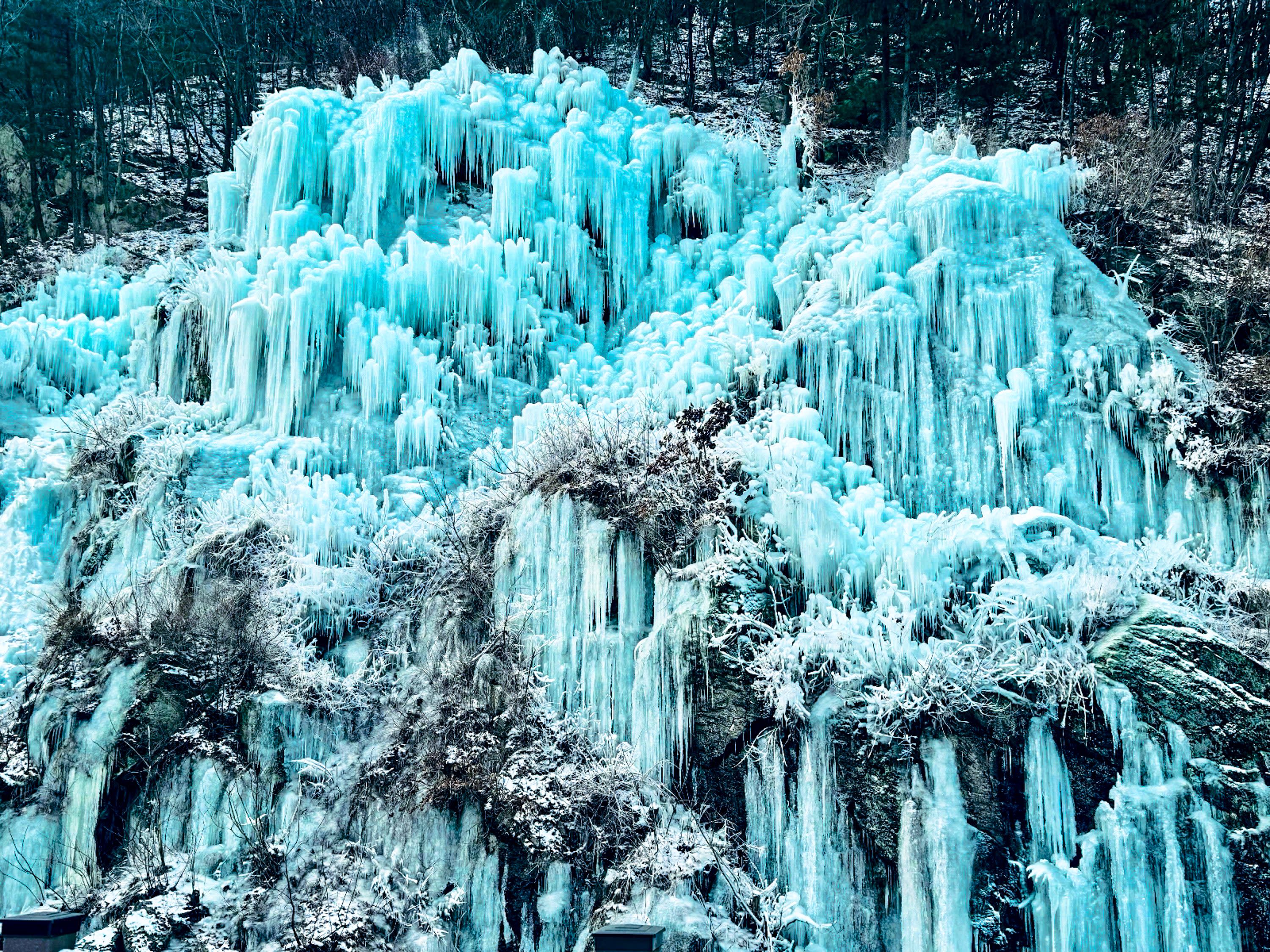 【冬季限定】2026江原道庆典一日游 - 华川山鳟鱼冰钓＆雪橇体验