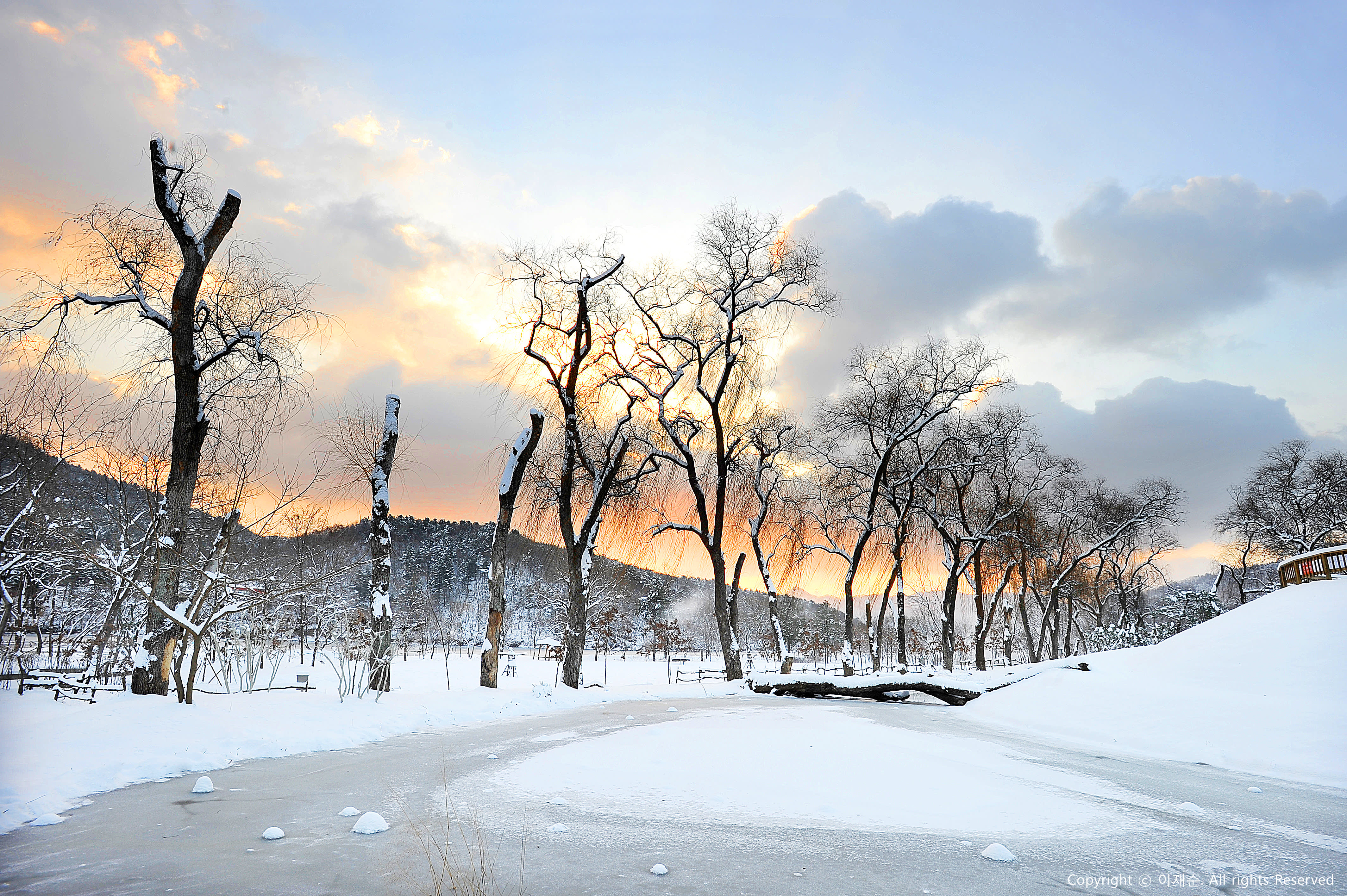 [From Seoul] Nami Island & Vivaldi Ski One Day Tour