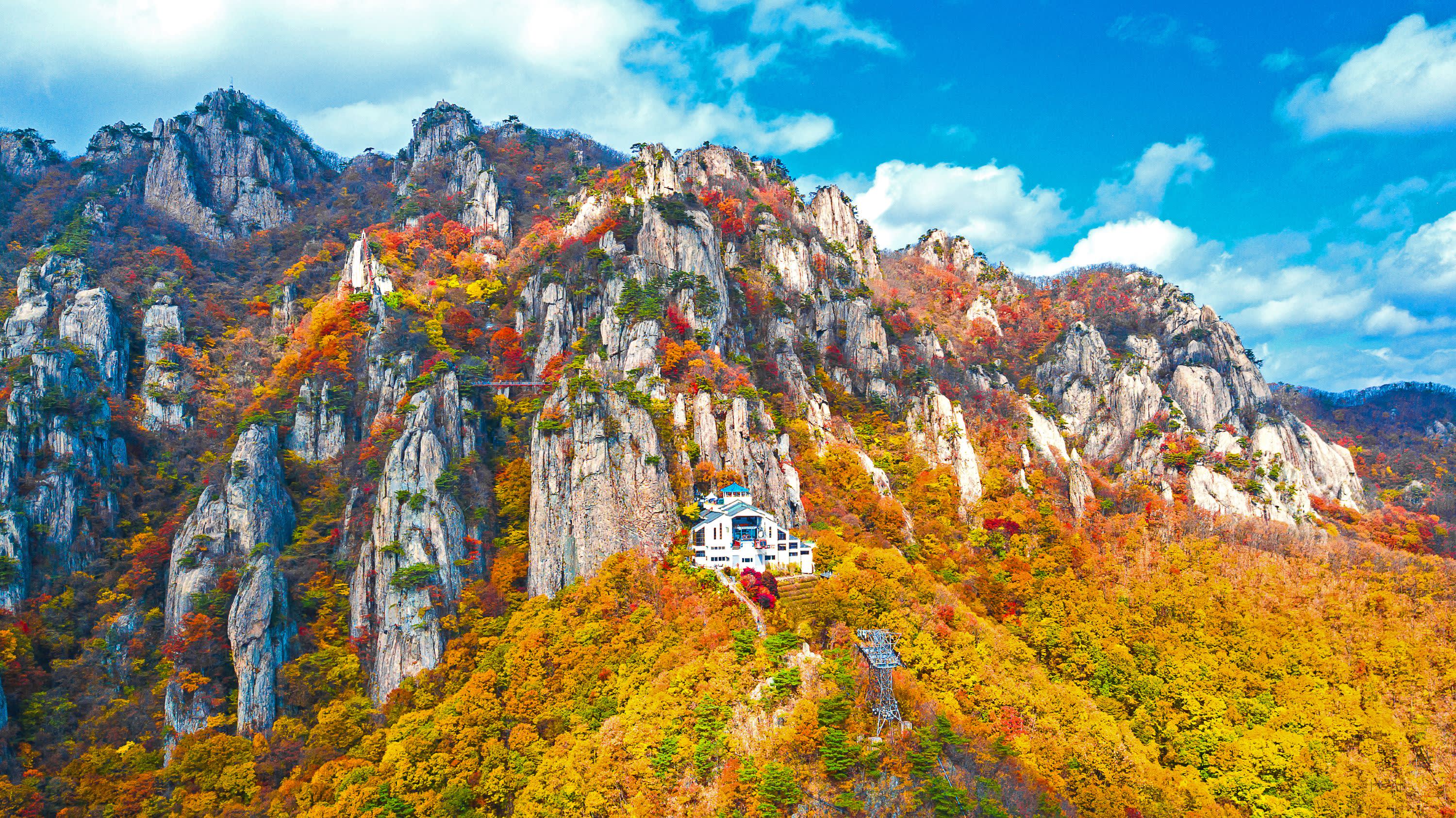 [From Seoul] Daedunsan Scenic Views & Baekje Buyeo Heritage Day Tour