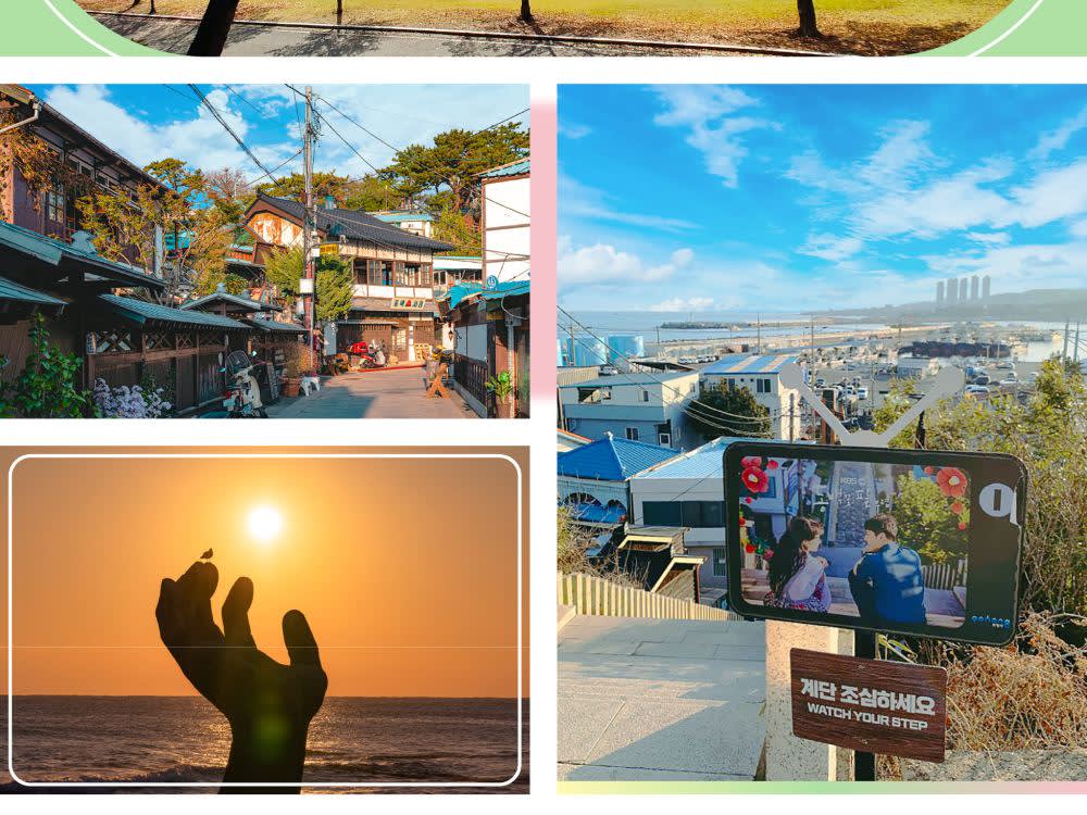 [Pohang] Space Walk X Lakeside Park Cherry Blossom Viewing | Departing from Busan