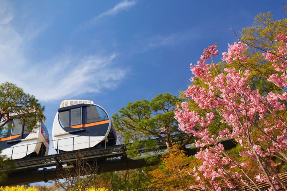 [ソウル発] 期間限定 秋の紅葉 華談の森 日帰りツアー