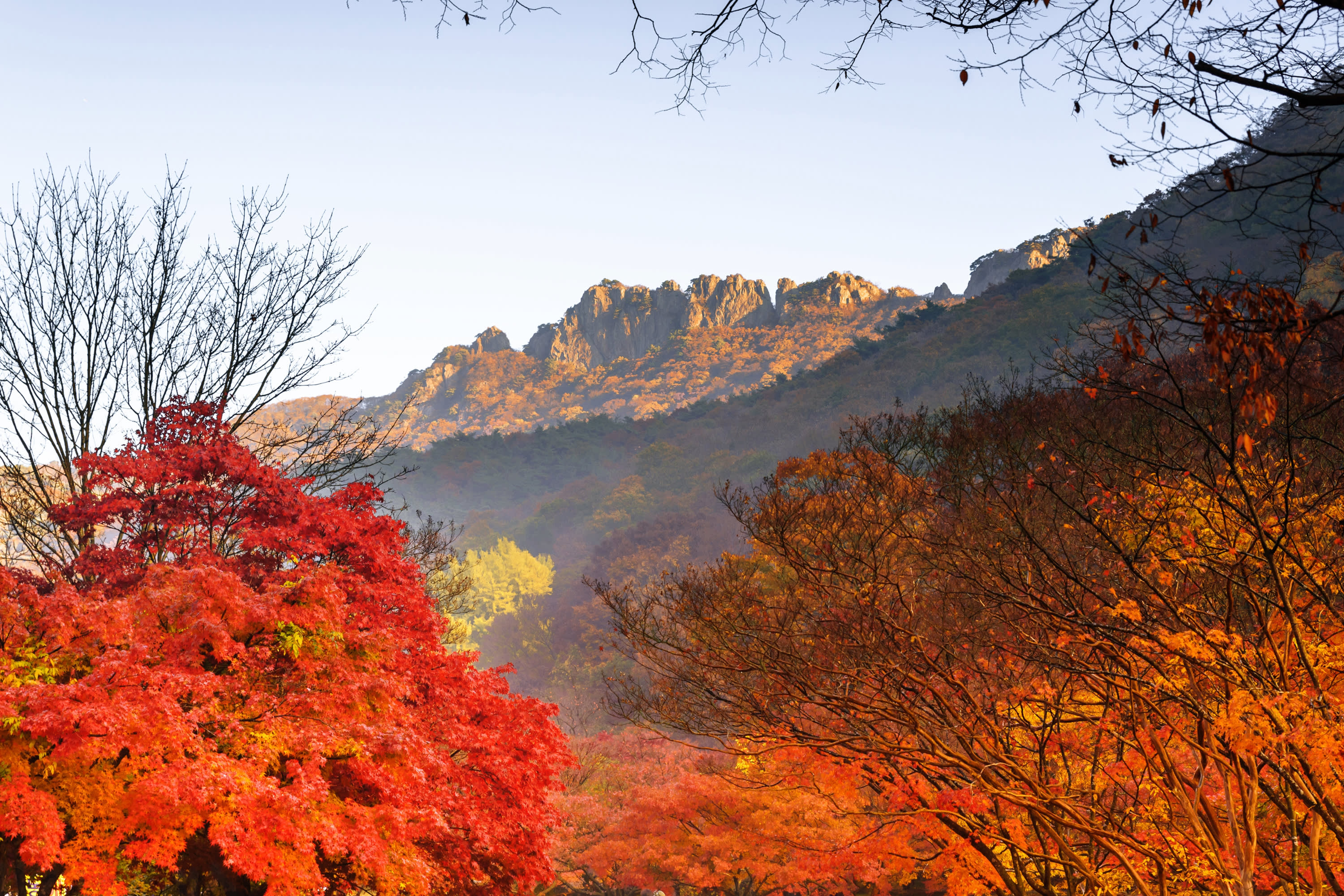 [首尔出发] 内藏山国家公园赏枫一日游