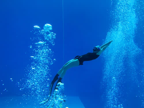 [大田] My Way 一日自由潜水体验