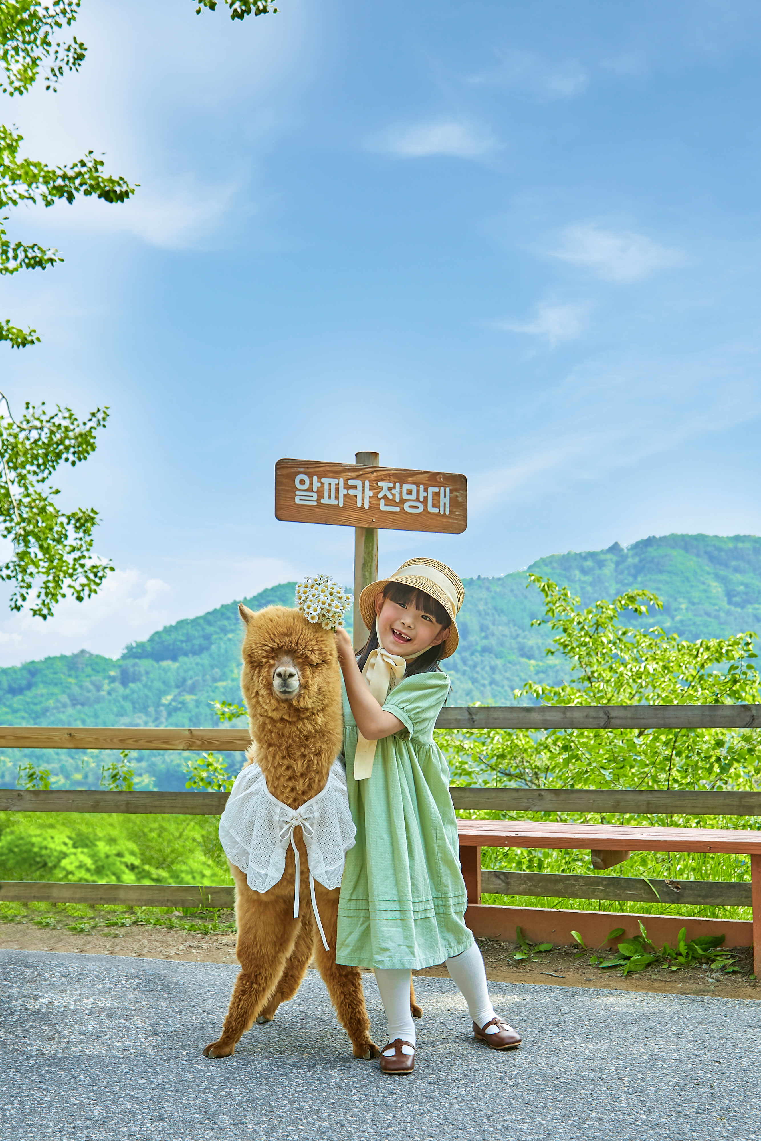 [Best Seller] Nami Island + Alpaca World + Gangchon Railbike Day Tour from Seoul