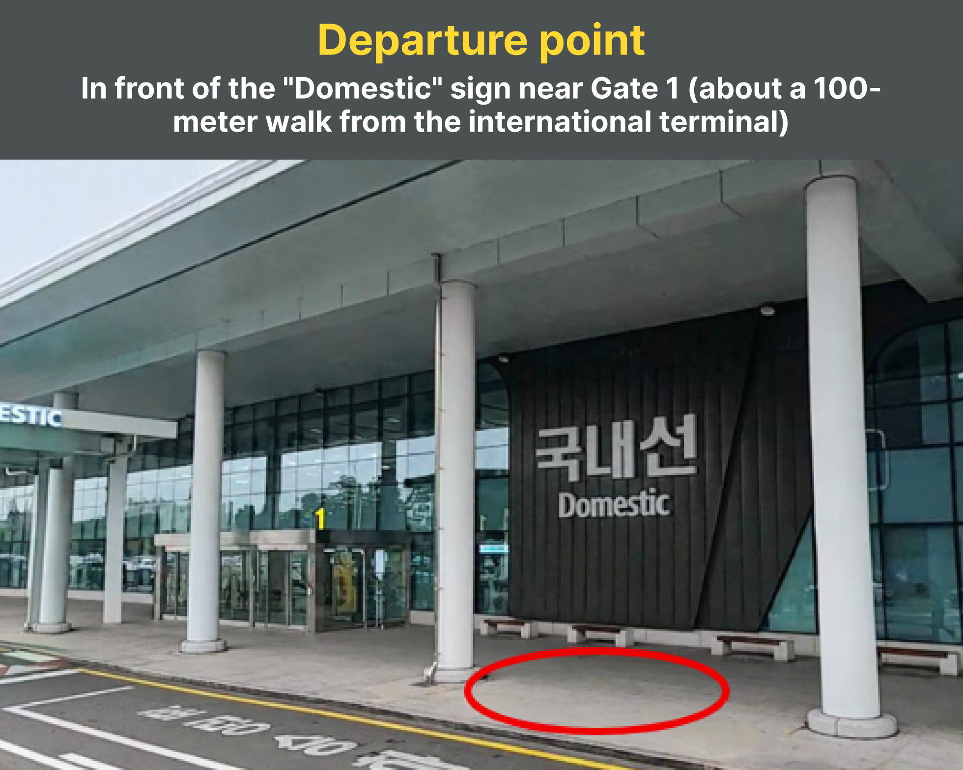 Daegu Airport↔Busan (Haeundae, Gwangalli) Shared Transfer Service