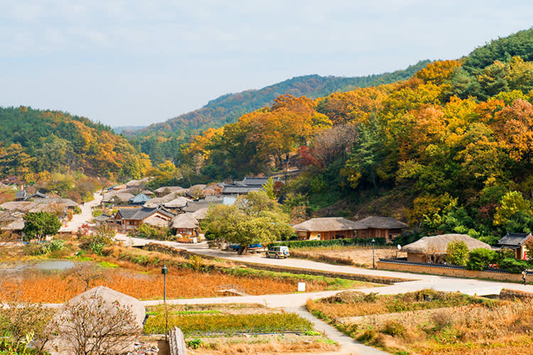 [Busan - Gyeongju] Busan Sky Capsule + Gyeongju Historic Areas Tour 