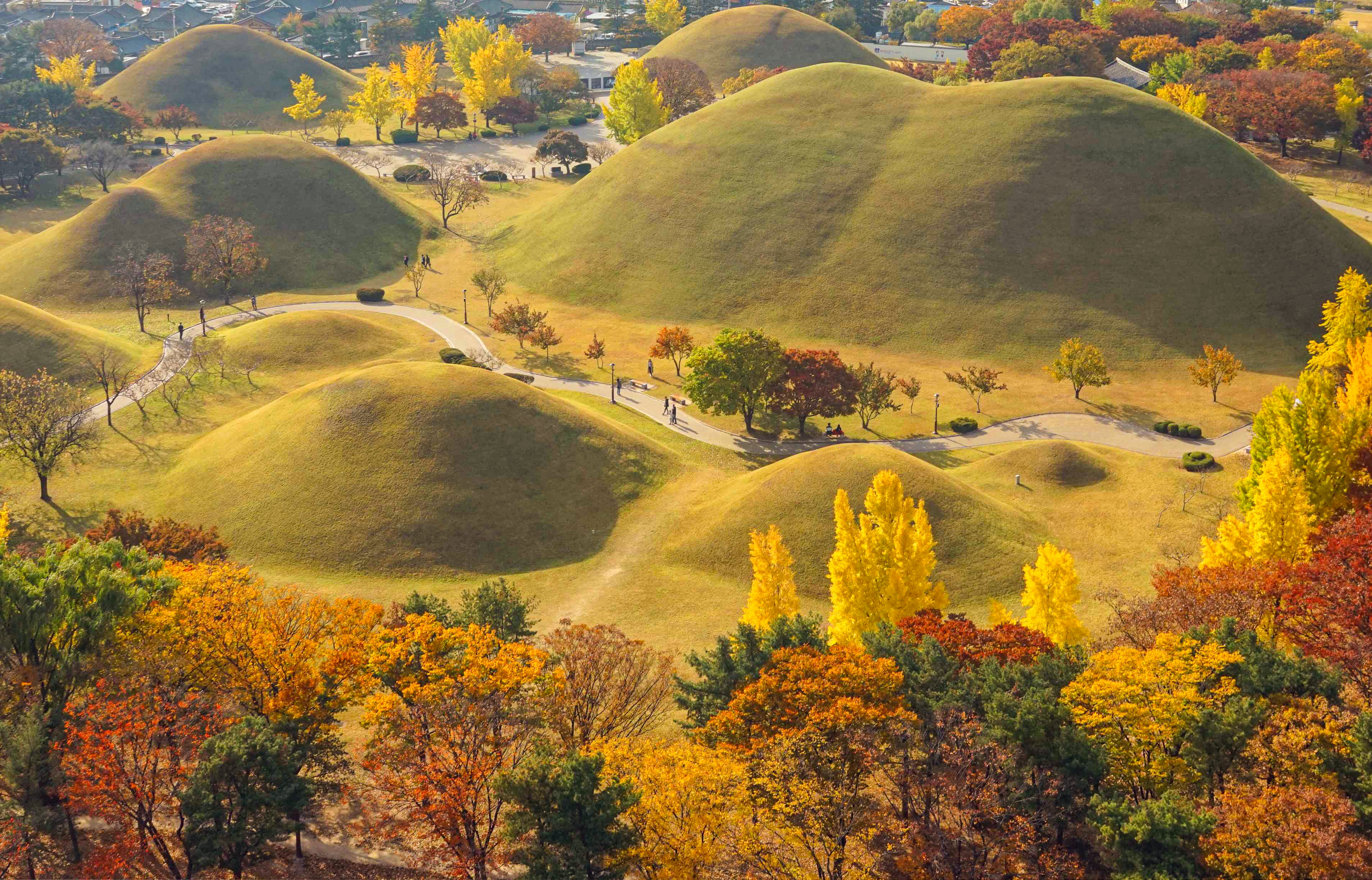 [From Busan] Gyeongju Autumn Foliage Day Tour