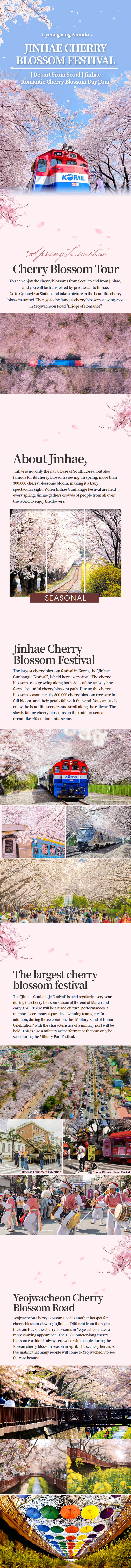 [Depart from Seoul] Jinhae Cherry Blossom DayTour