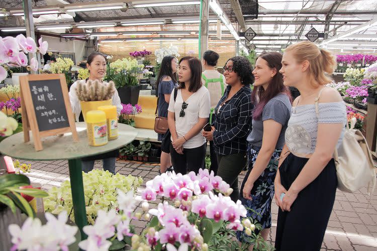 [首尔] 花市之旅+插花体验一日课程