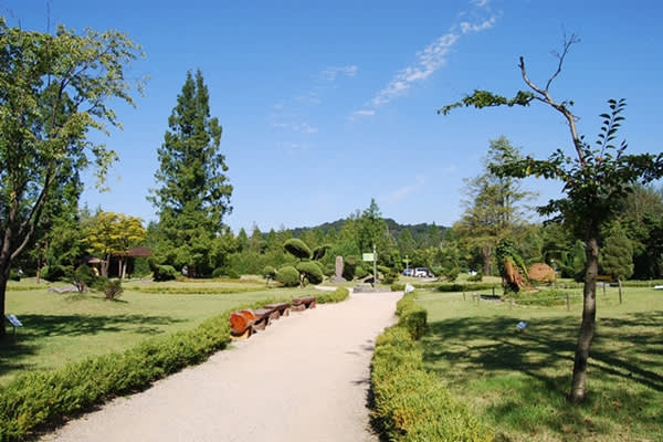 [済州市出発]済州島中文巡り1日観光ツアー