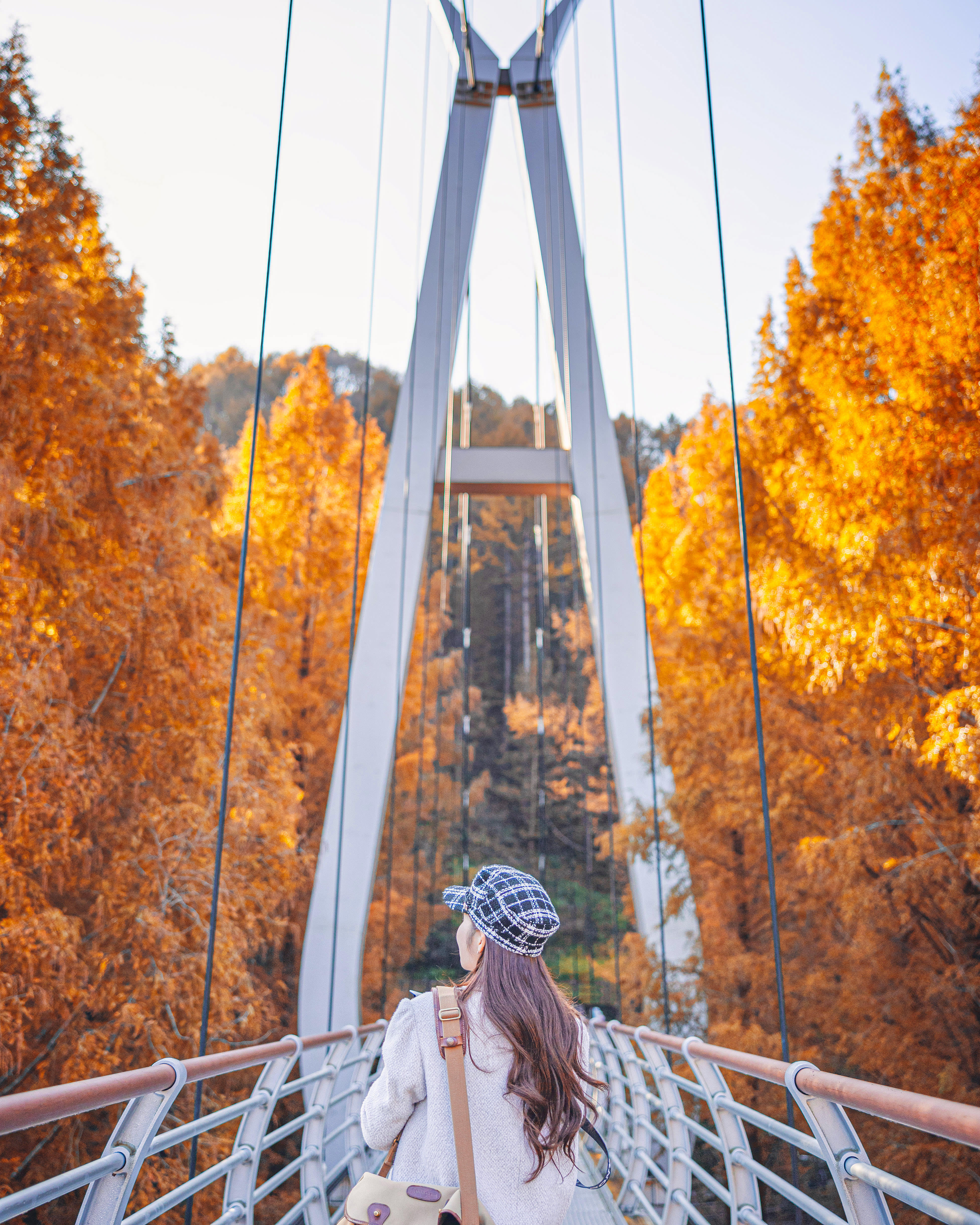 [From Seoul] Daejeon Autumn Day Tour: Jangtaesan, Hanbat Arboretum & Sungsimdang