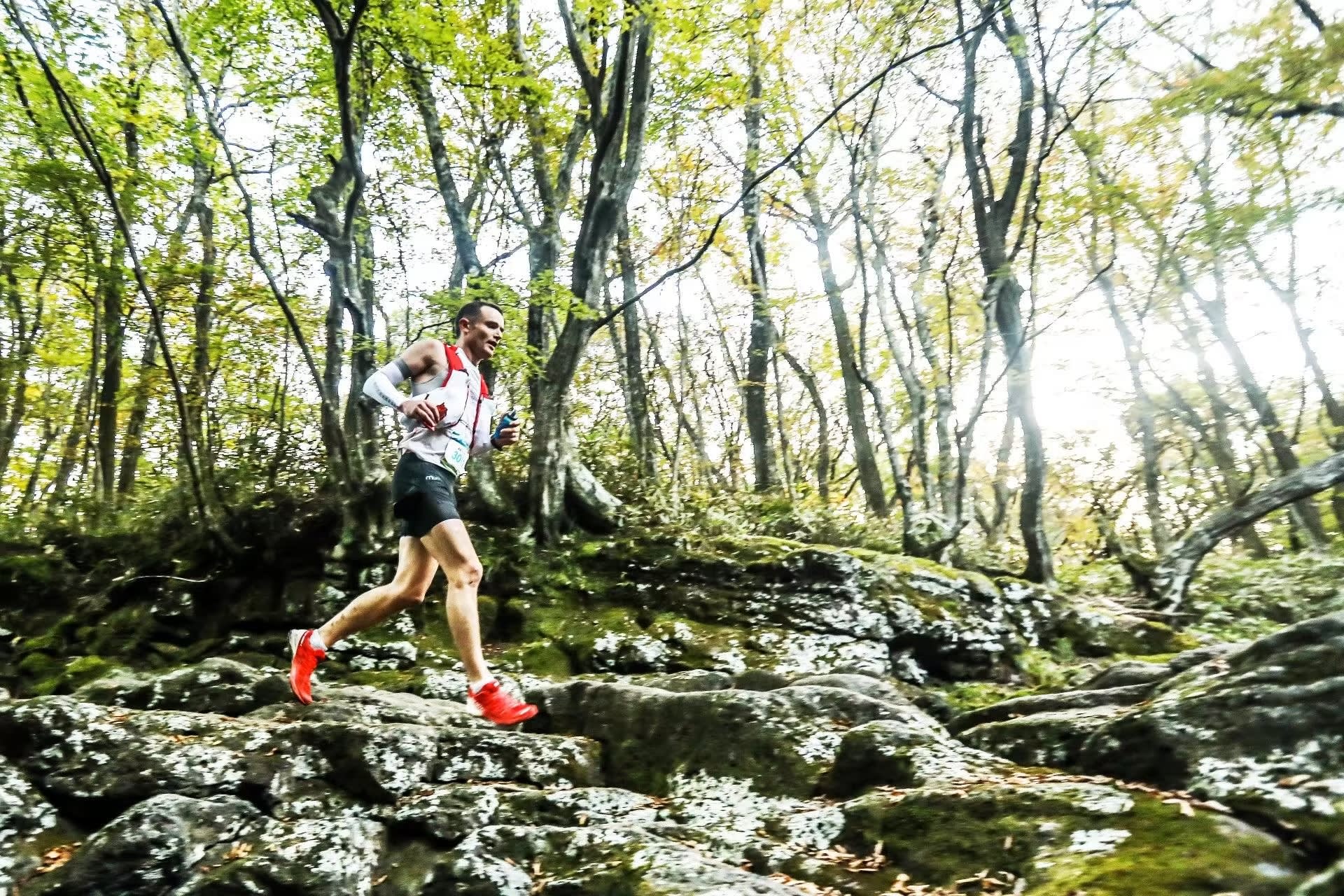 [Play & Stay] トレイルランニング - TransJeju by UTMB