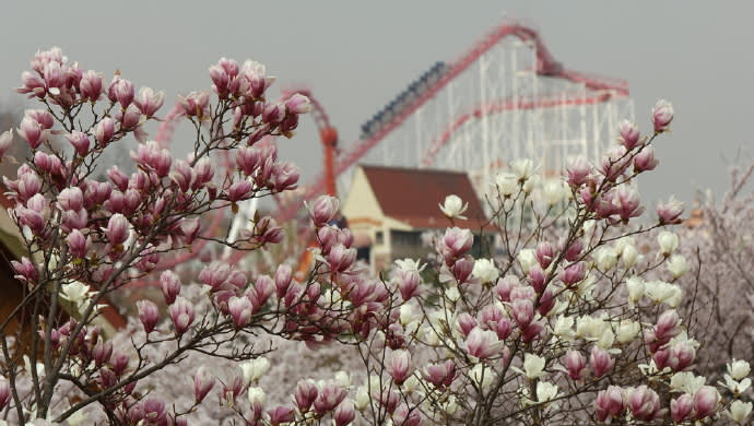 [爱宝乐园] Everland 一日通票・折扣门票（限外国人）