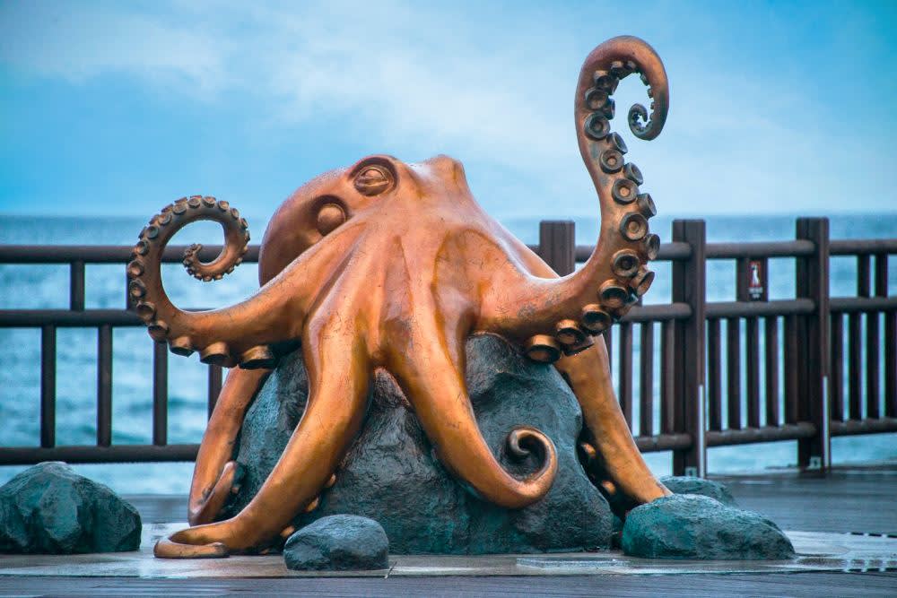 [Pohang] Space Walk X Lakeside Park Cherry Blossom Viewing | Departing from Busan