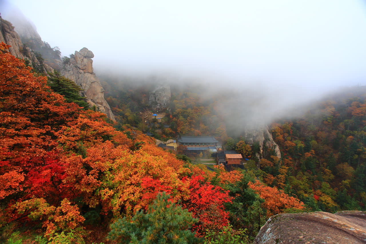 [From Seoul] Seoraksan National Park Autumn Foliage Day Tour