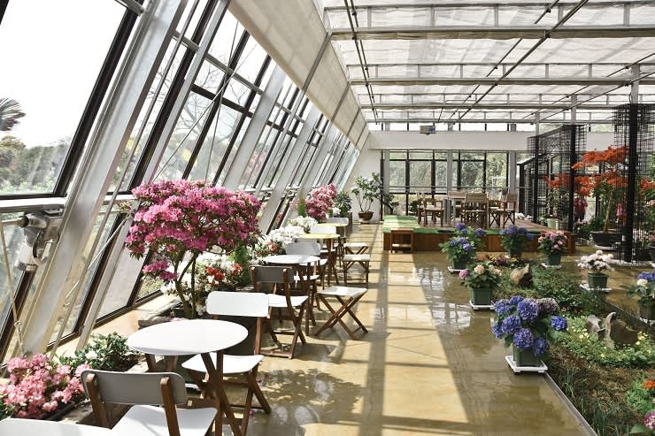 [Jeju] Camellia Hill Botanical Garden