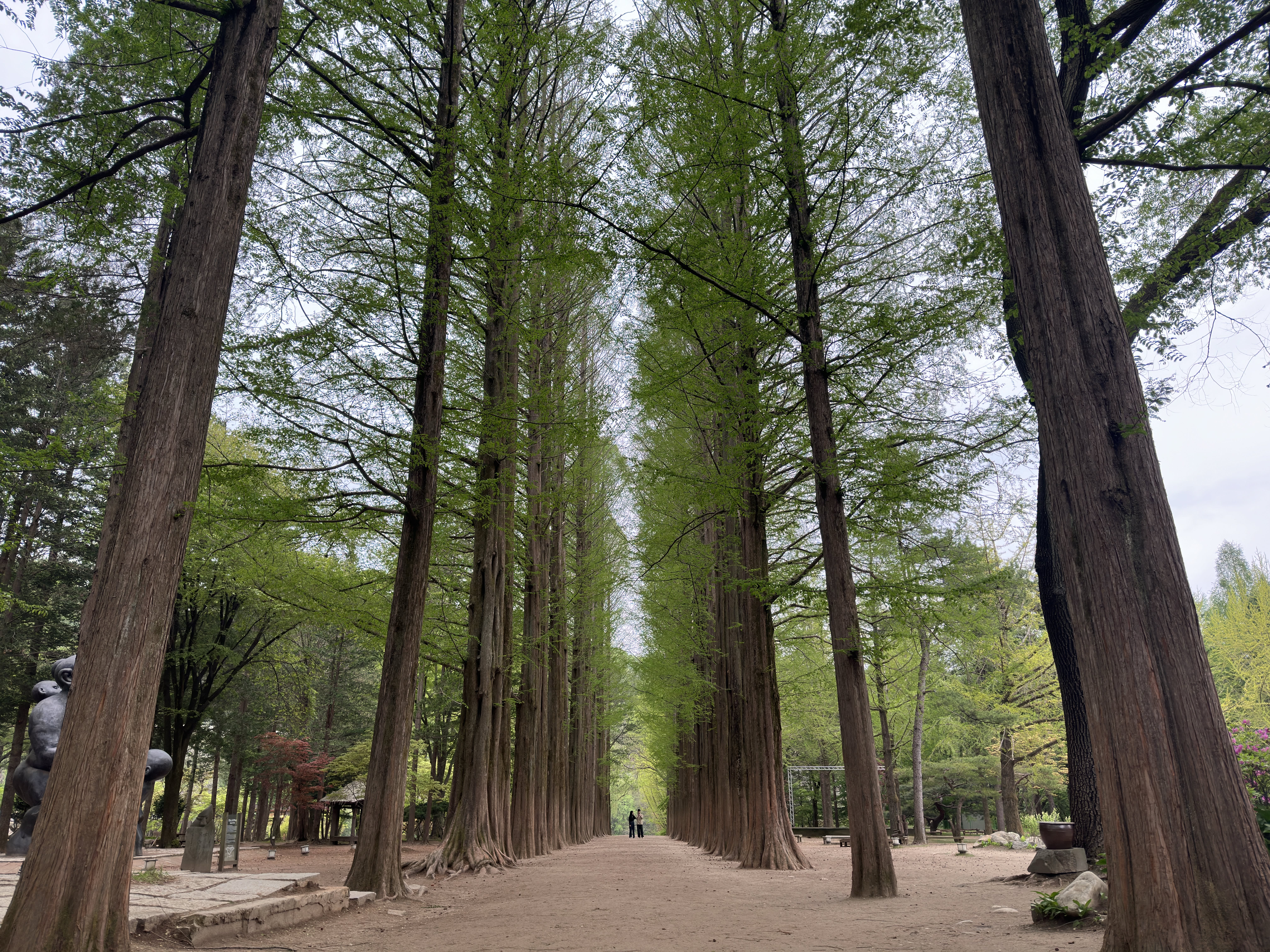 羊驼乐园 + 南怡岛 + 江村铁道自行车一日游