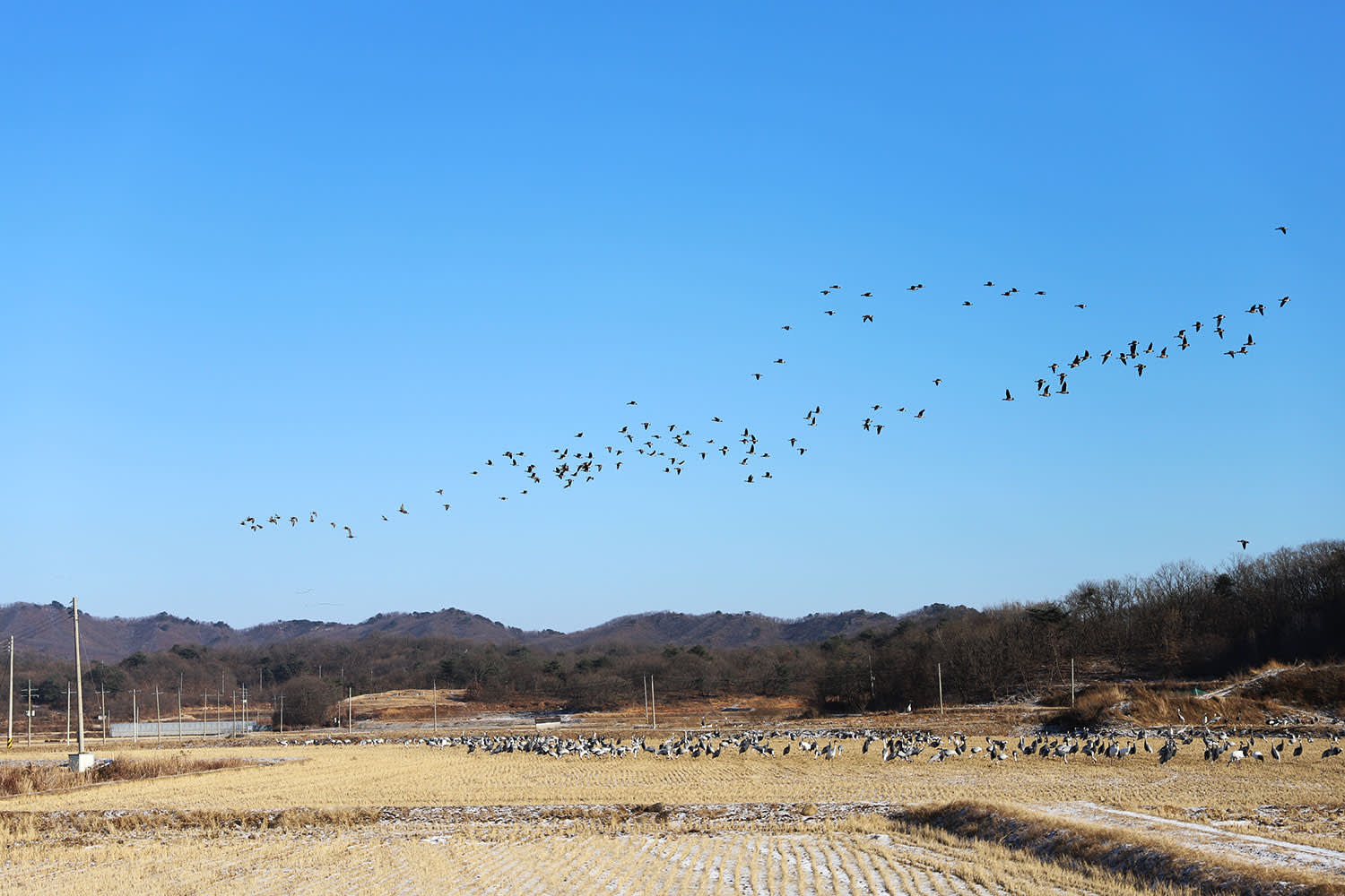 鉄原DMZ非武装地帯/第2トンネル+「UNESCO」漢灘江ジオパークツアー