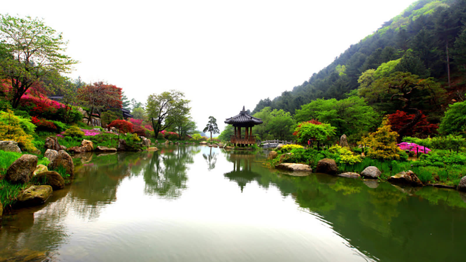 ソウルシティ·郊外カーチャートツアー