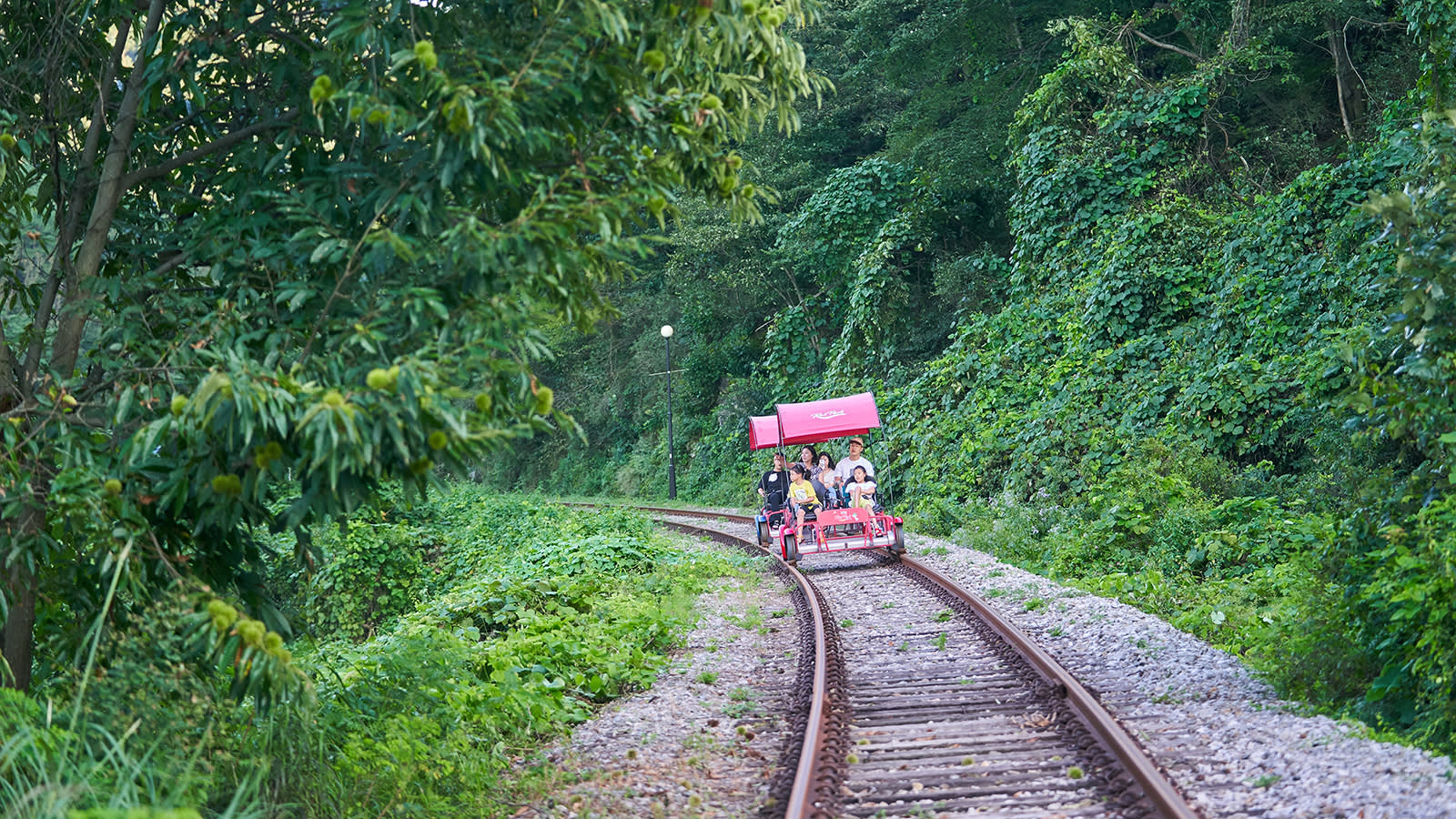 江村レールバイク 乗車チケット