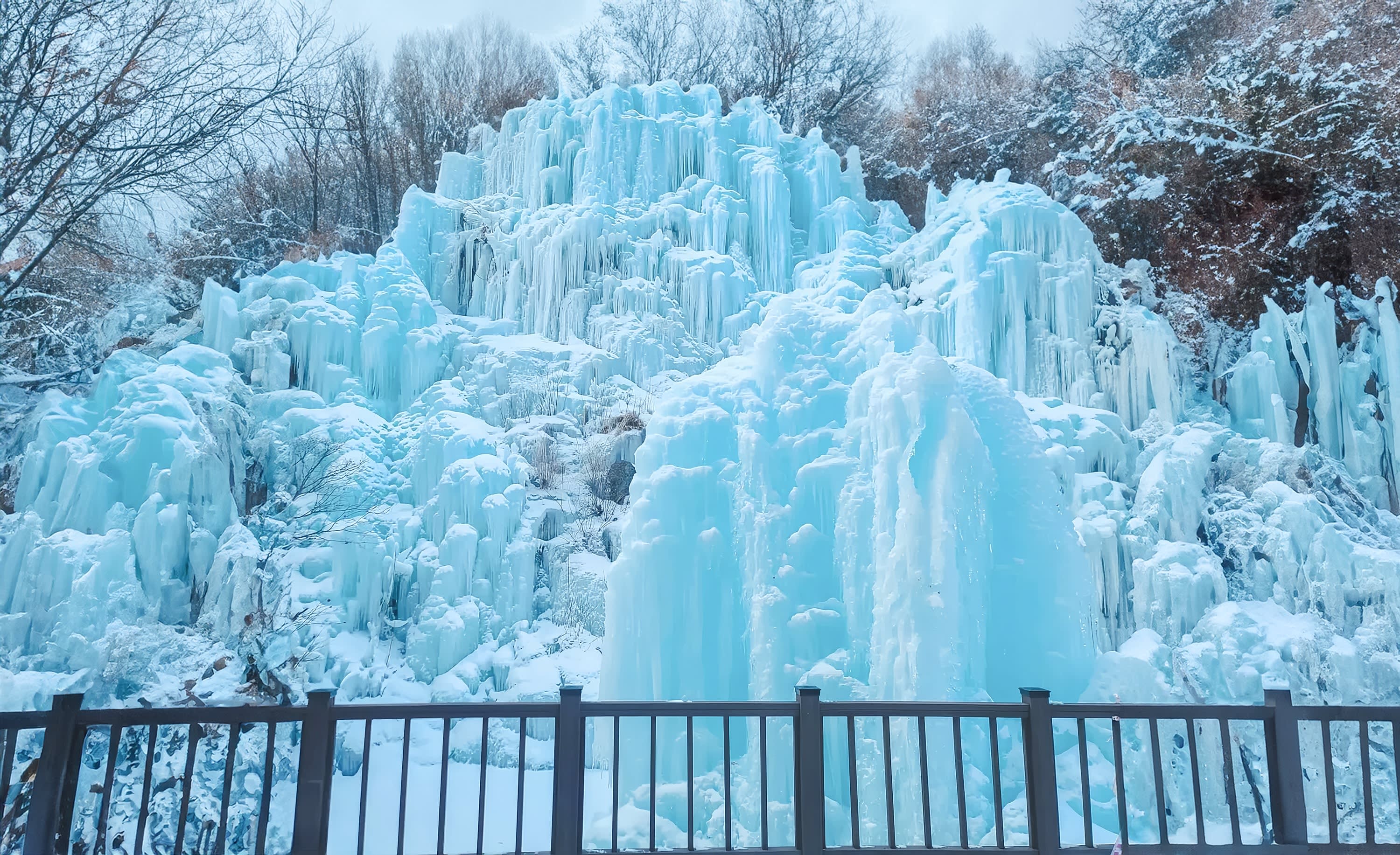 【冬季限定】2026江原道庆典一日游 - 华川山鳟鱼冰钓＆雪橇体验