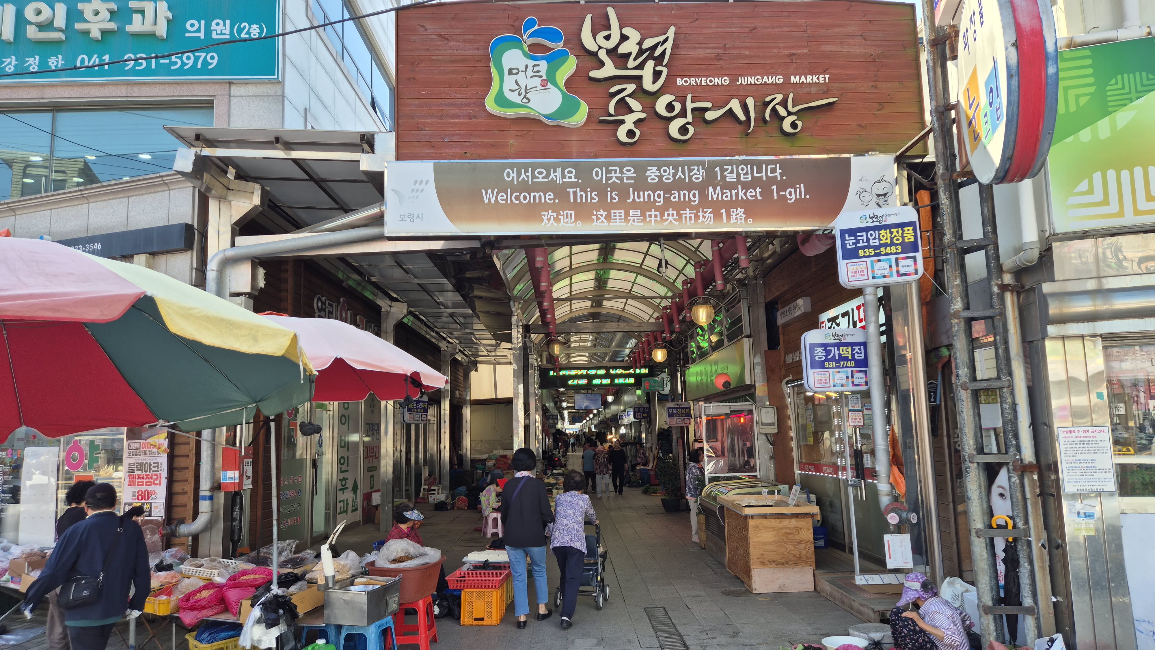 [🌊Top Pick] Seoul-Boryeong Mud Train Special Tour