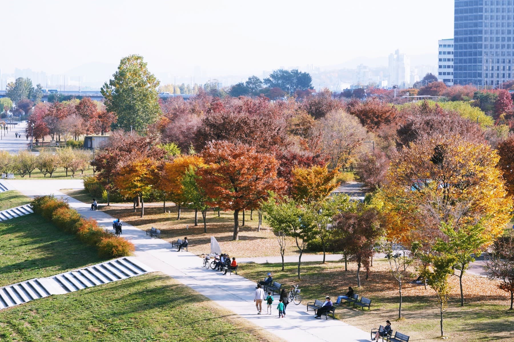 [Seoul] Authentic Hangang Ramen Picnic Experience at Yeouido