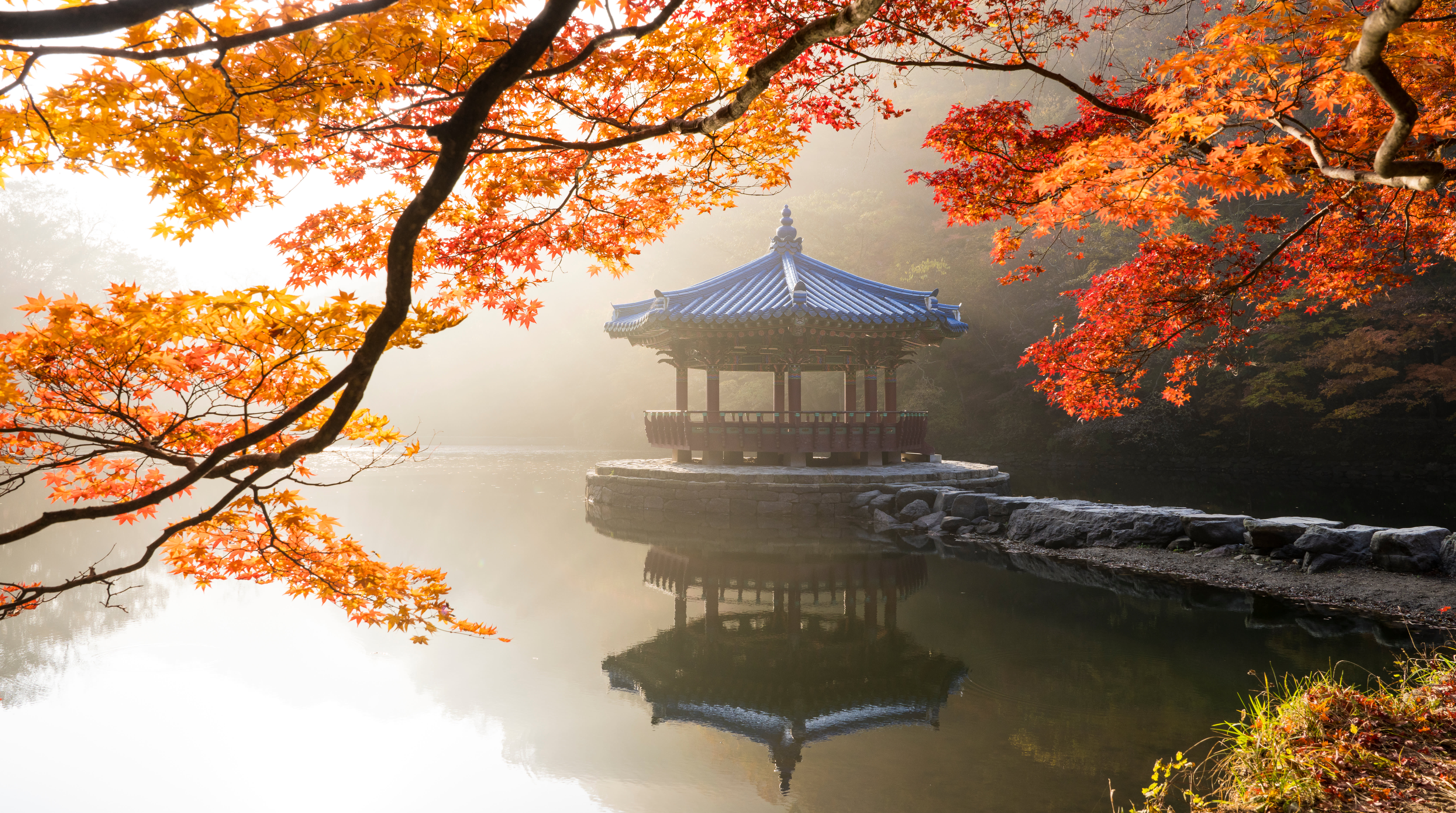 [From Busan] Naejangsan National Park Autumn Foliage Day Tour