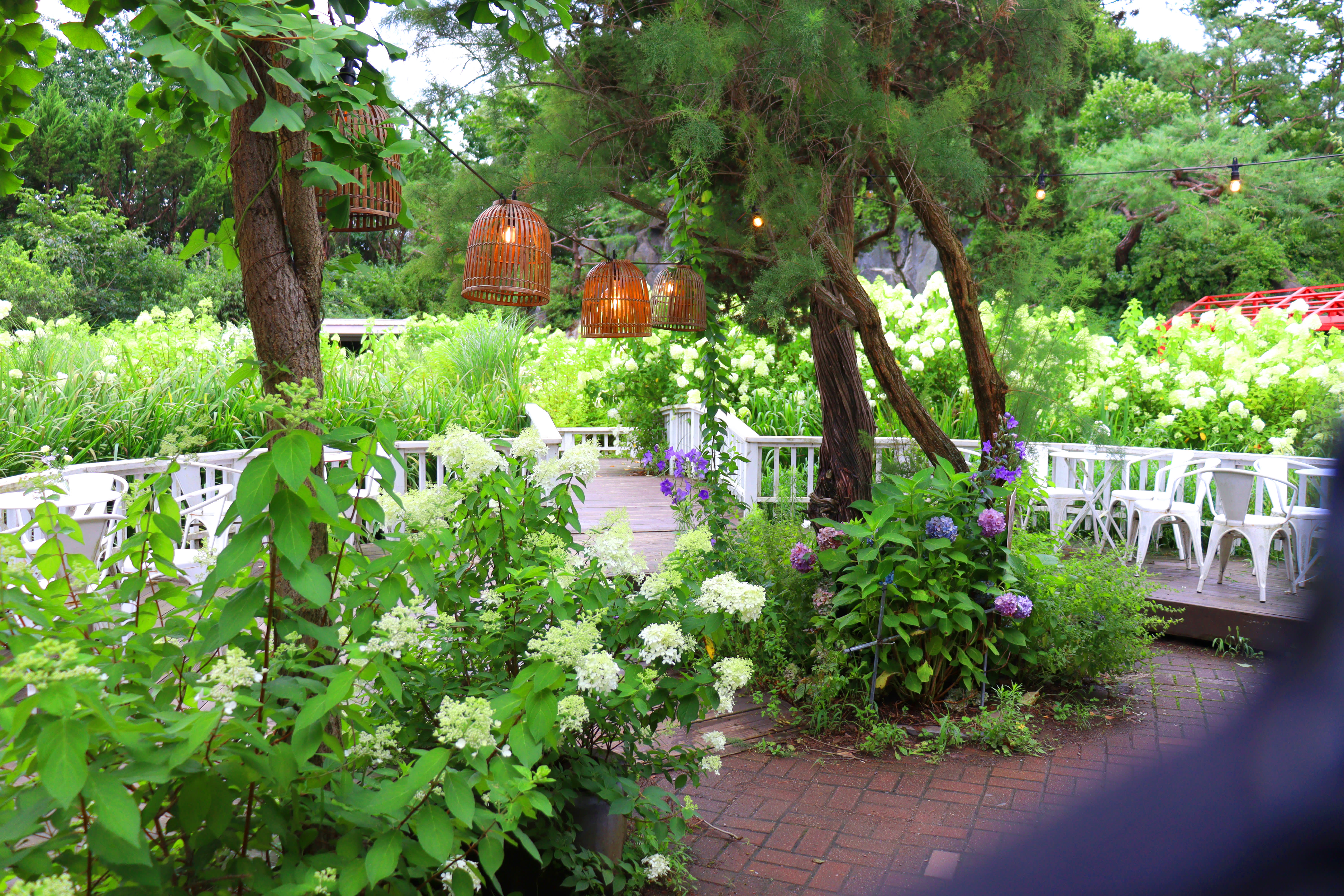 [🌊Top Pick] Seoul-Boryeong Mud Train Special Tour