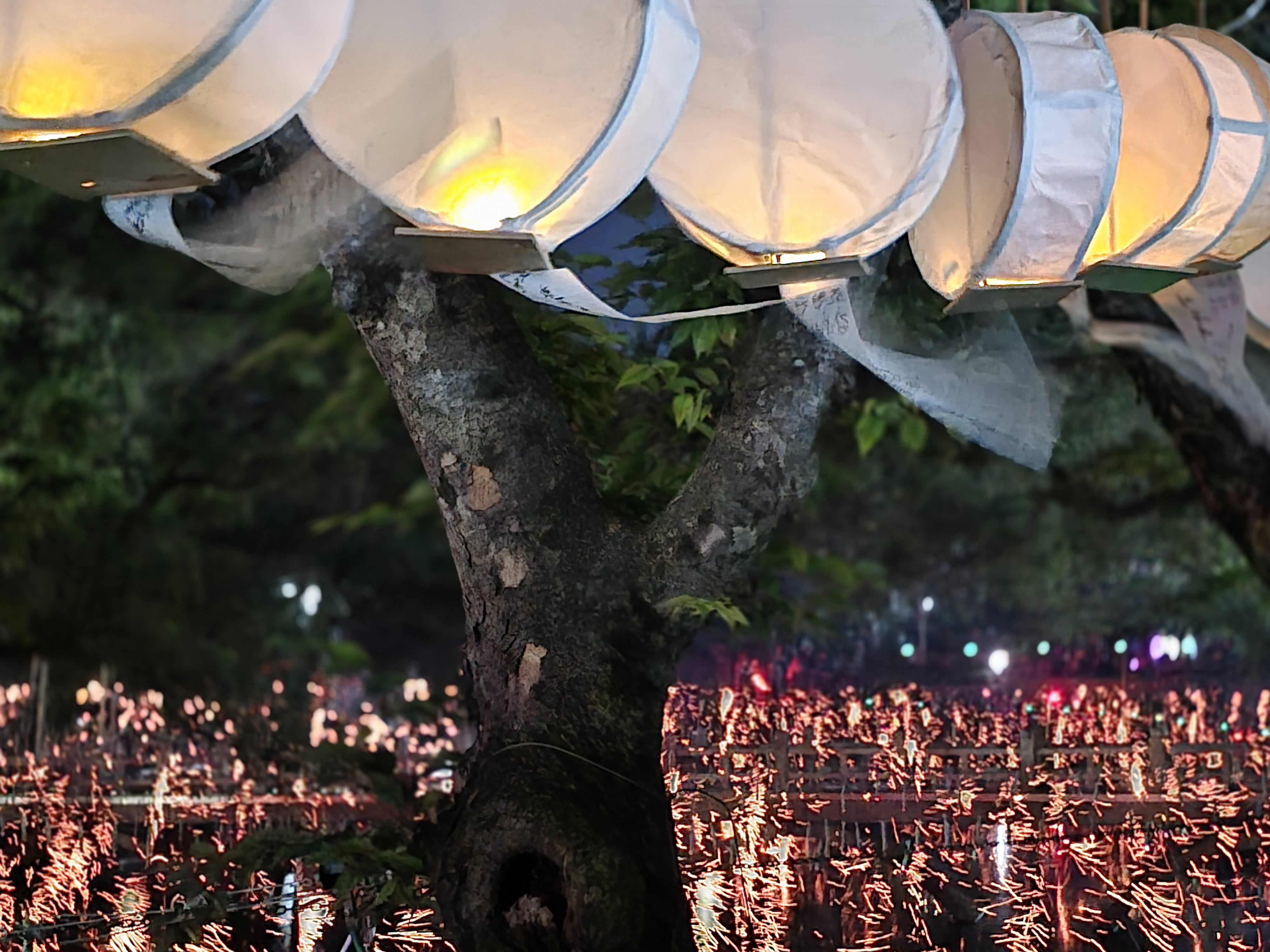 2026 韩国咸安传统落火节一日游（釜山出发）