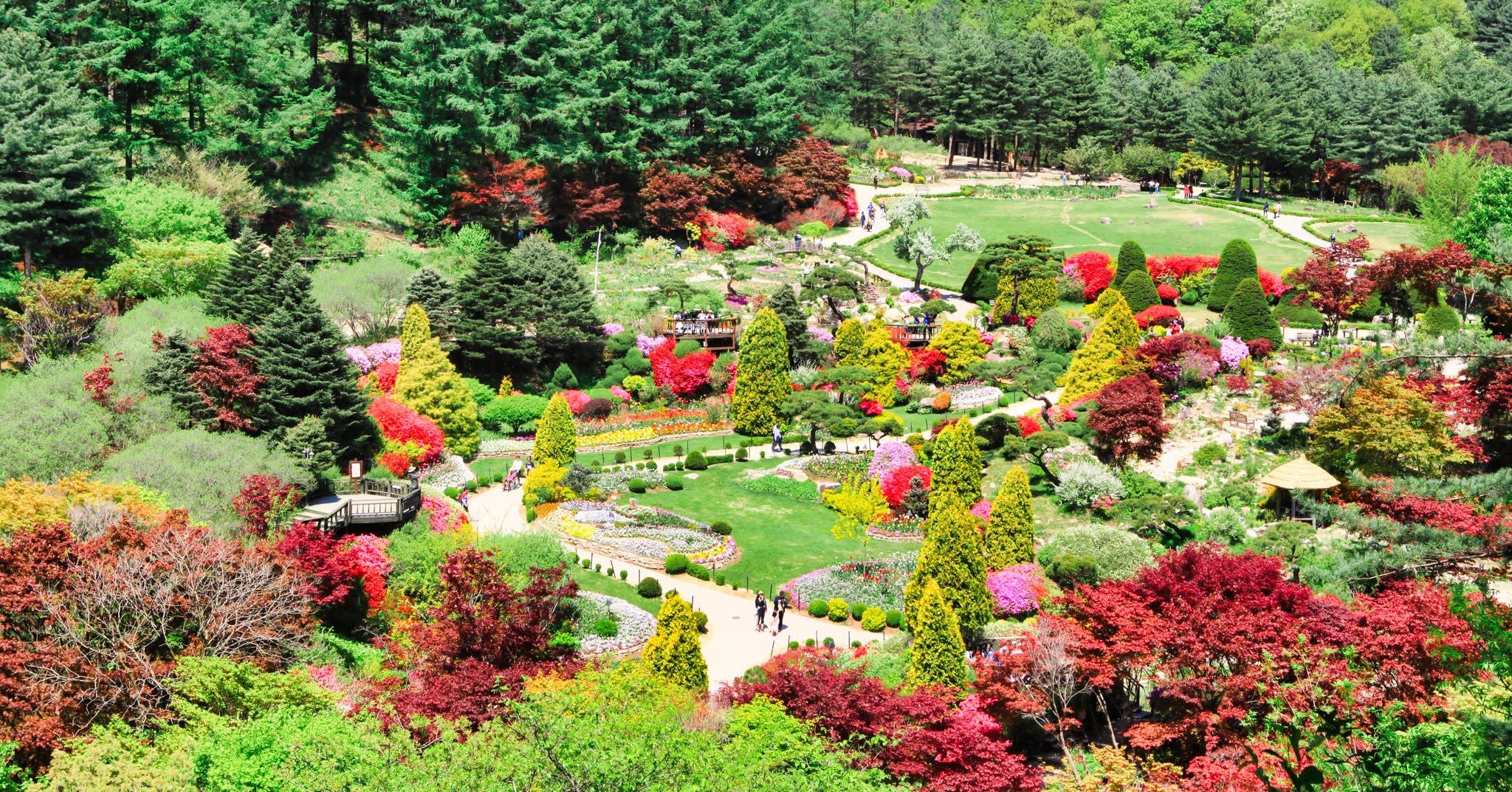 南怡岛 + 小法国村或义大利村 + 加平铁轨自行车 + 晨静树木园一日游