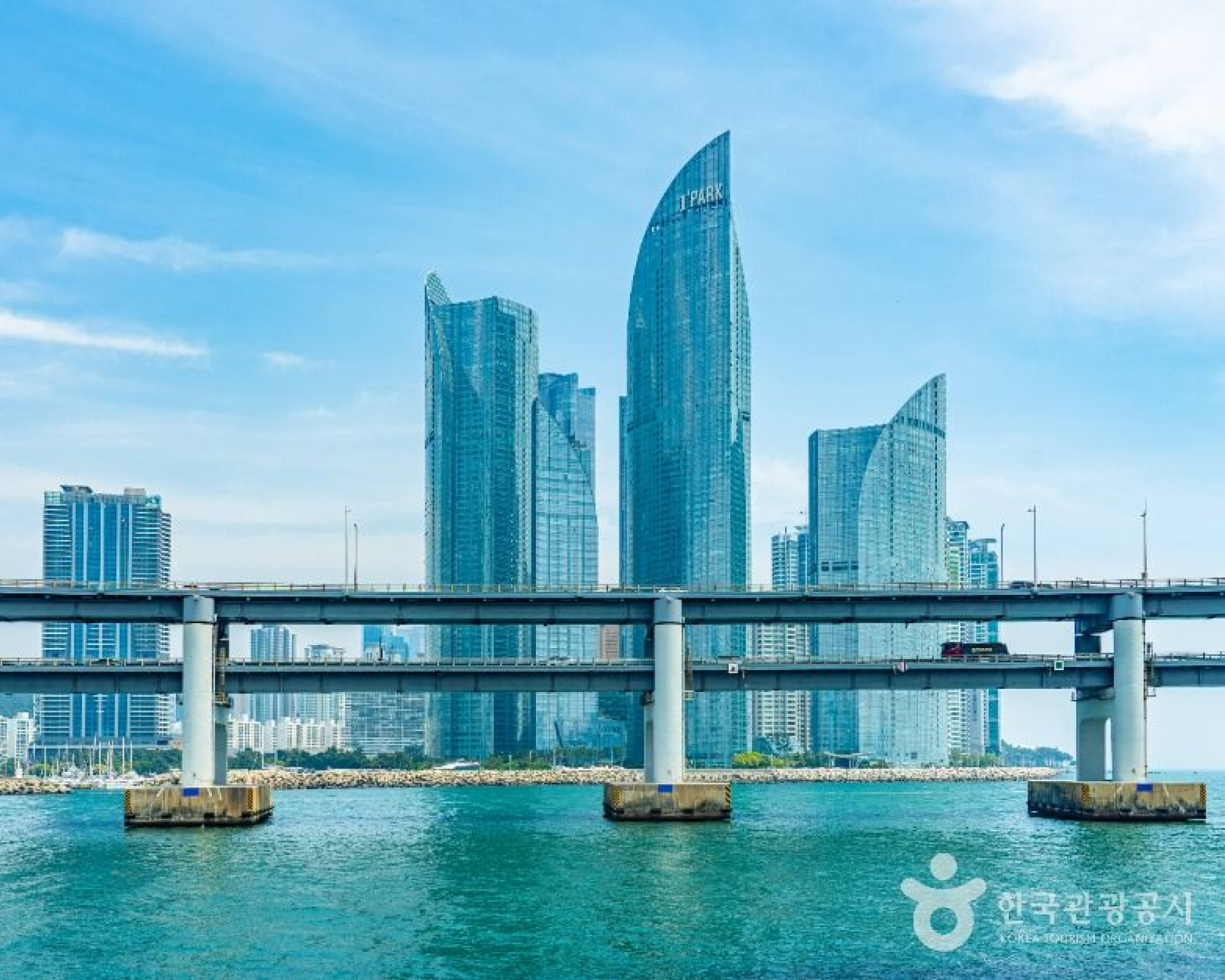 Daegu Airport↔Busan (Haeundae, Gwangalli) Shared Transfer Service