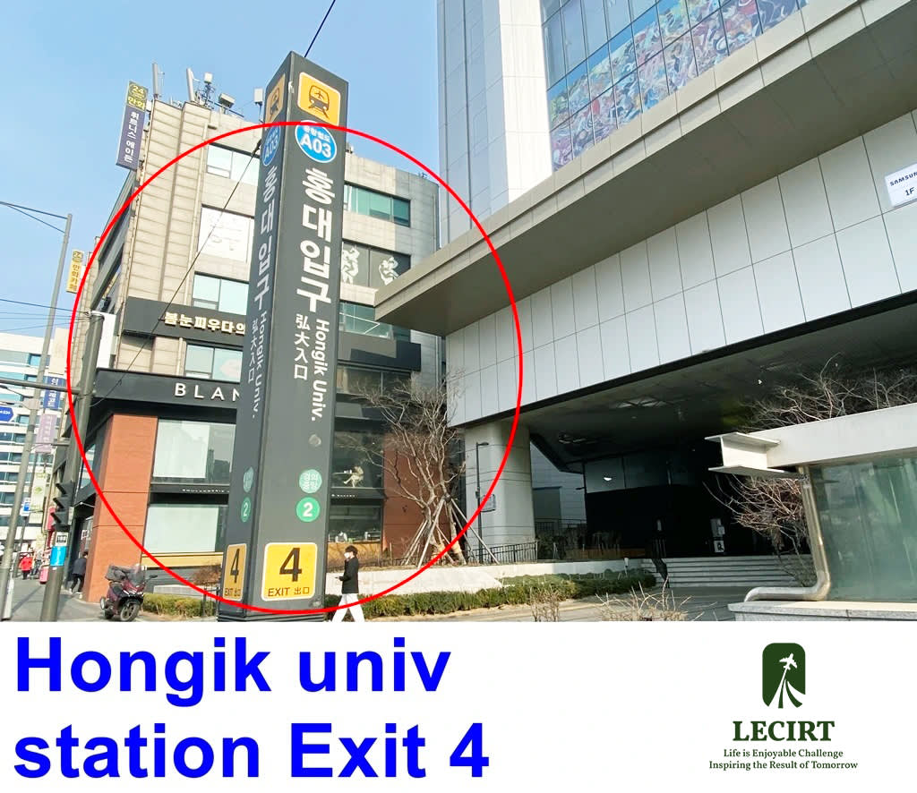 首尔出发一日游：鱼飞冰谷・南怡岛・晨静树木园灯光庆典