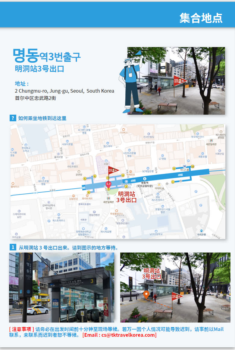 [首尔出发] 镇海浪漫樱花大道一天团