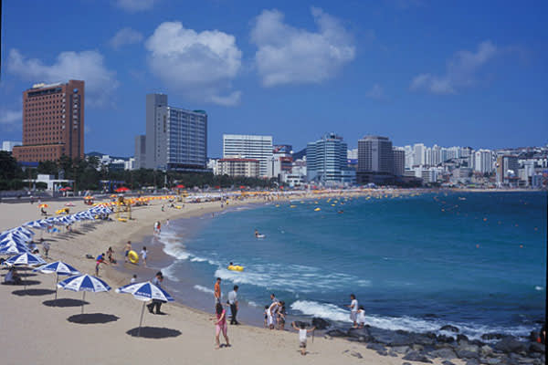 釜山近郊「海東龍宮寺」と海雲台半日ツアー