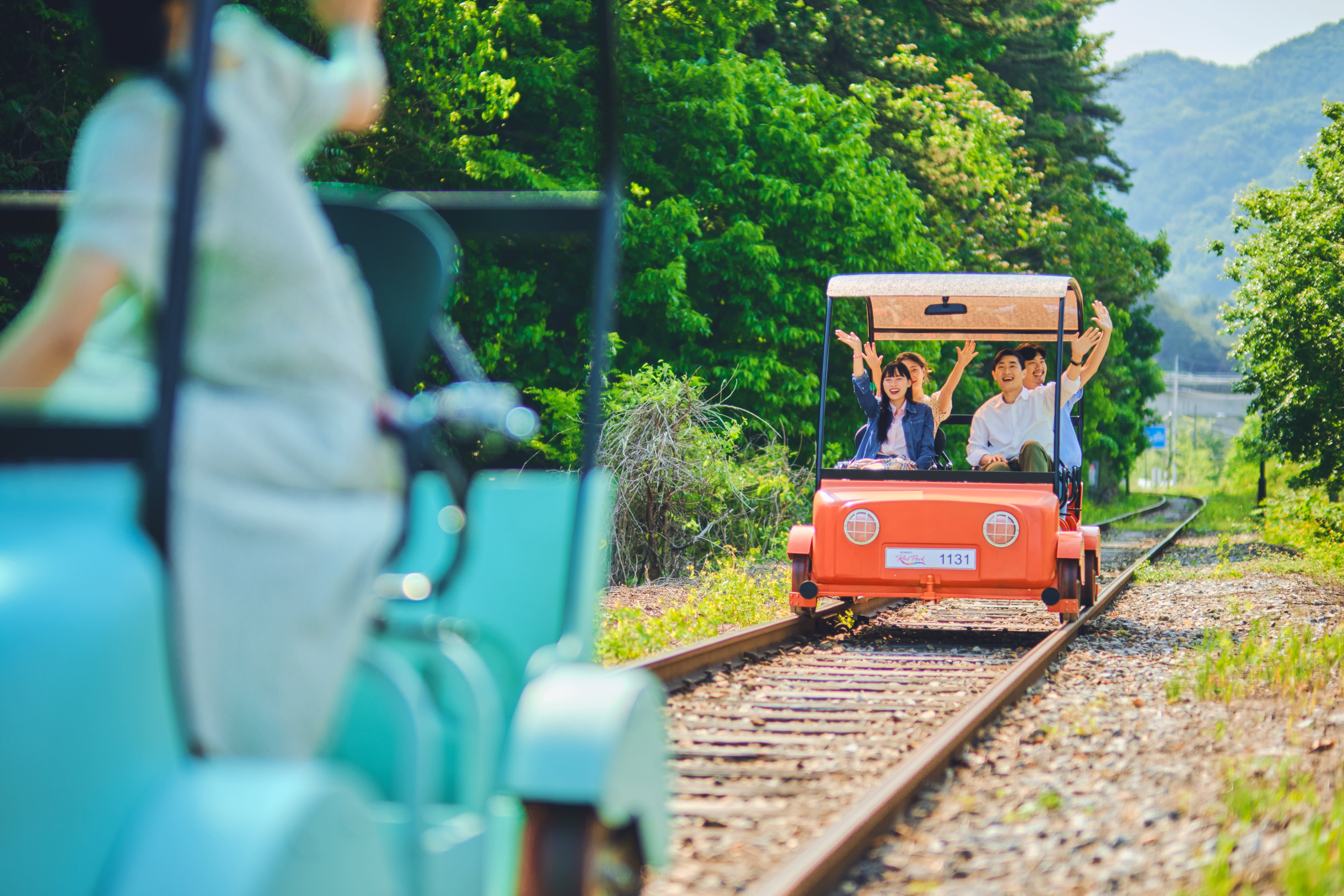 Nami Island + Gangchon Rail Bike + Garden of Morning Calm PrivateTour
