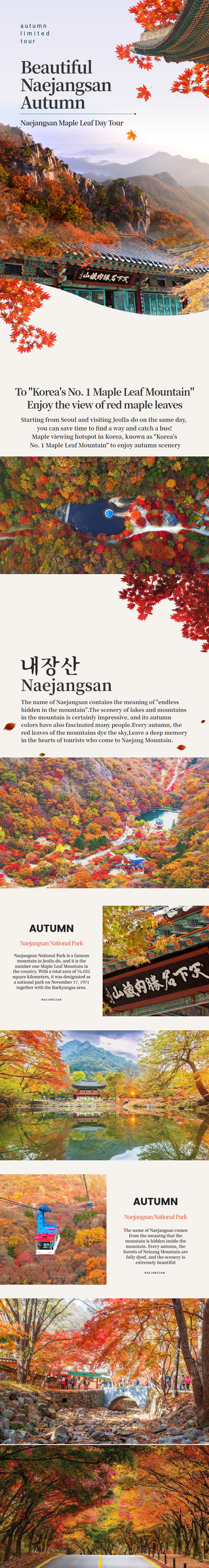[From Seoul] Naejangsan Maple Leaf Day Tour