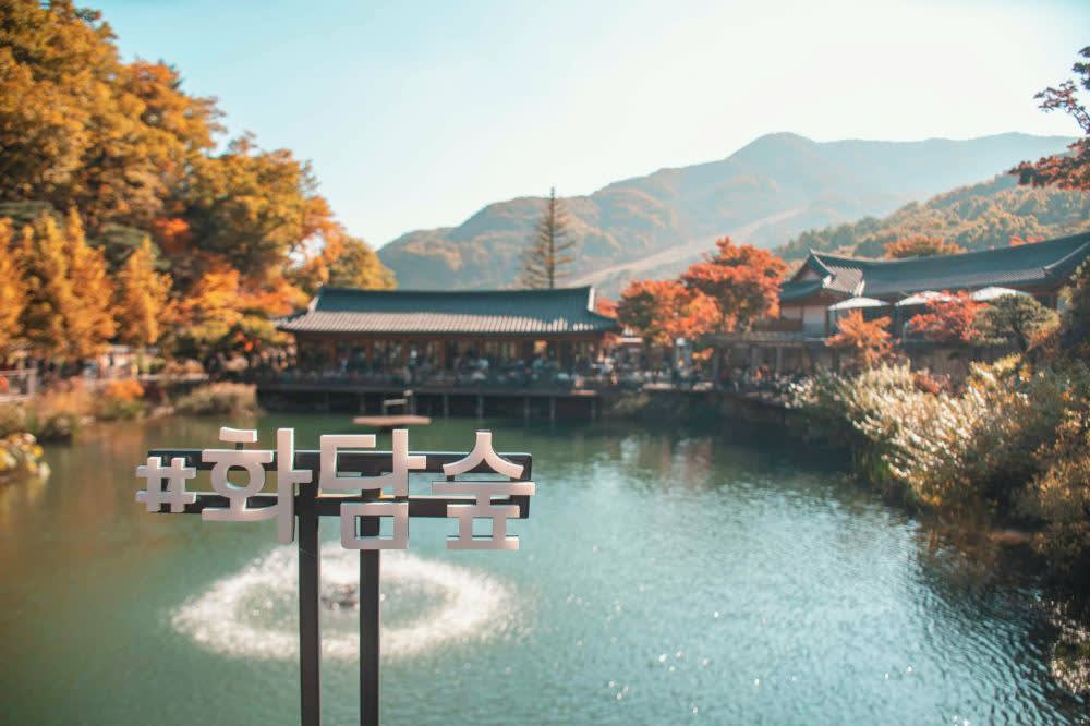 [ソウル発] 期間限定 秋の紅葉 華談の森 日帰りツアー