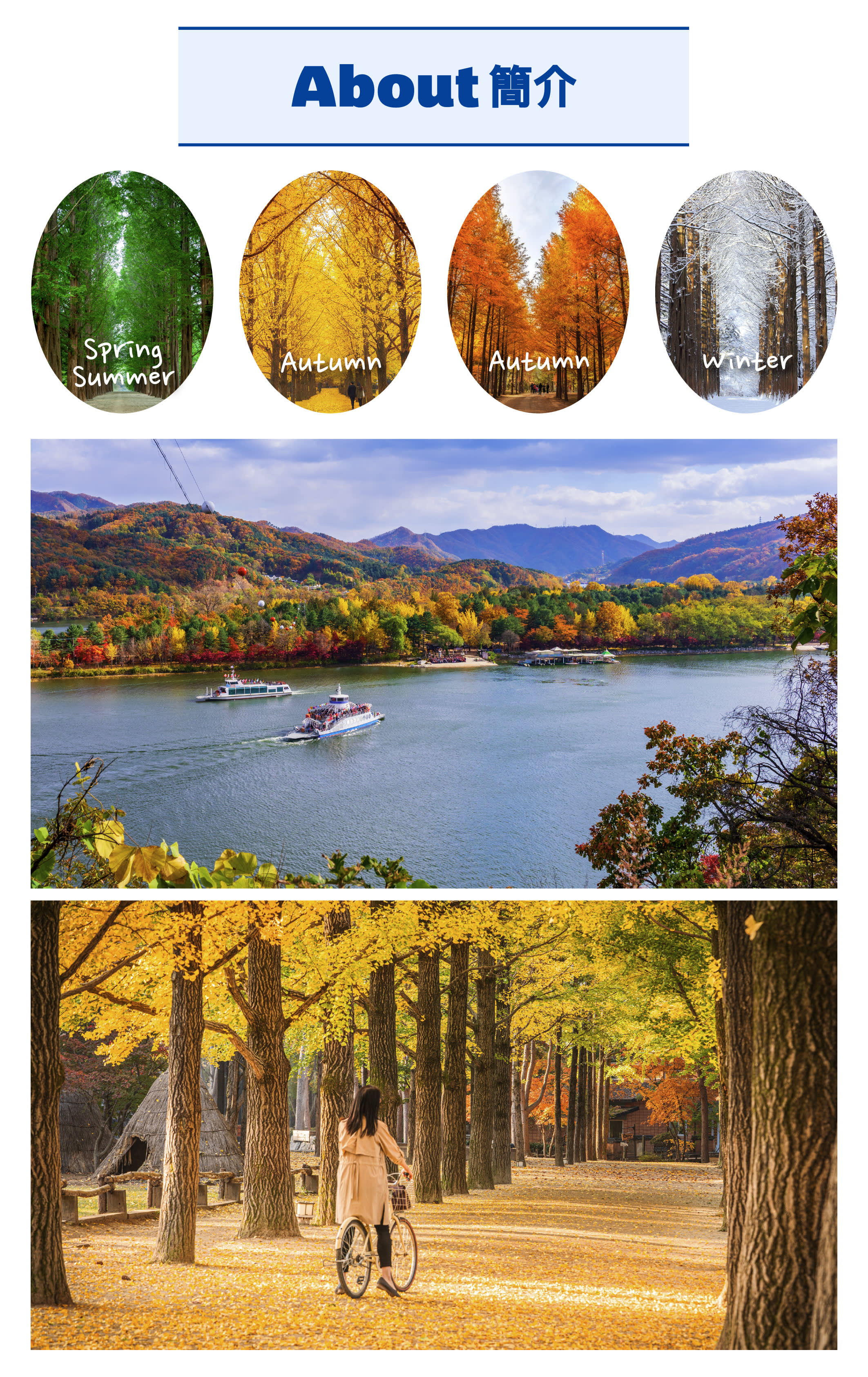 [Official] Seoul - Nami Island Round-trip Shuttle Bus