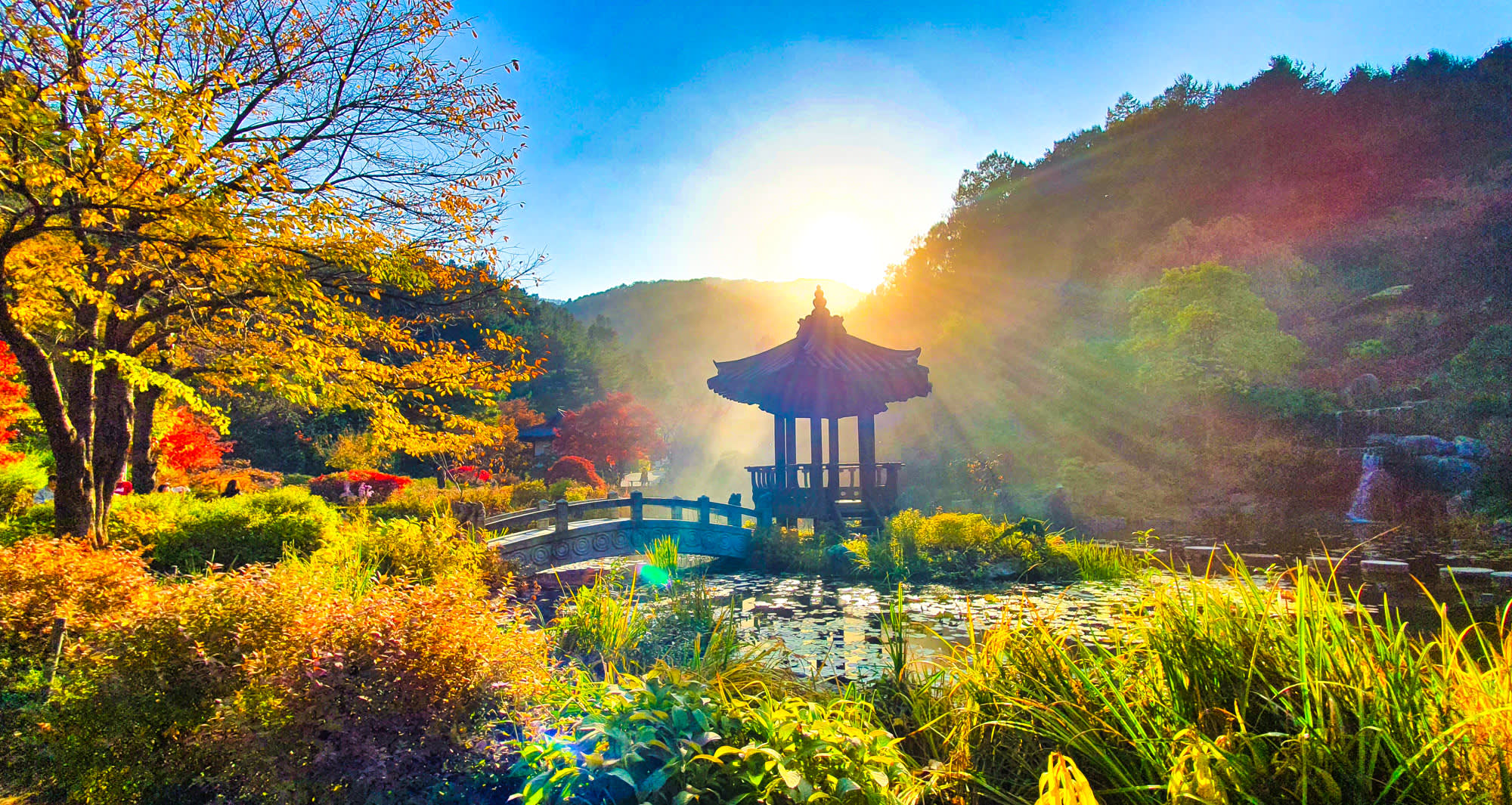 南怡岛＆晨静树木园＆江村铁路自行车郊一日游