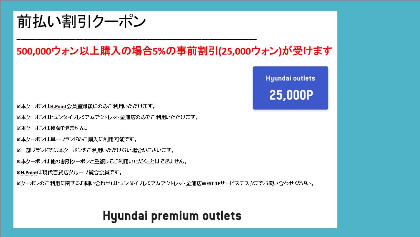 現代プレミアム アウトレット金浦＋花火クルーズ プライベート・デイ・ツアー