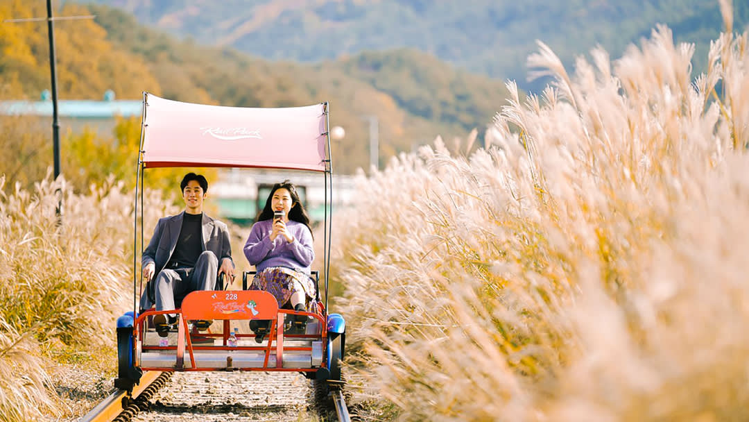 Seoul Car Rental with Driver to Gangwon-do (Seoraksan, Sokcho) 10 Hours