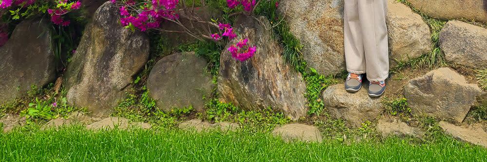 [首尔出发] 全州春季一日游（韩屋村 + 完山公园樱花 + 觉院寺）