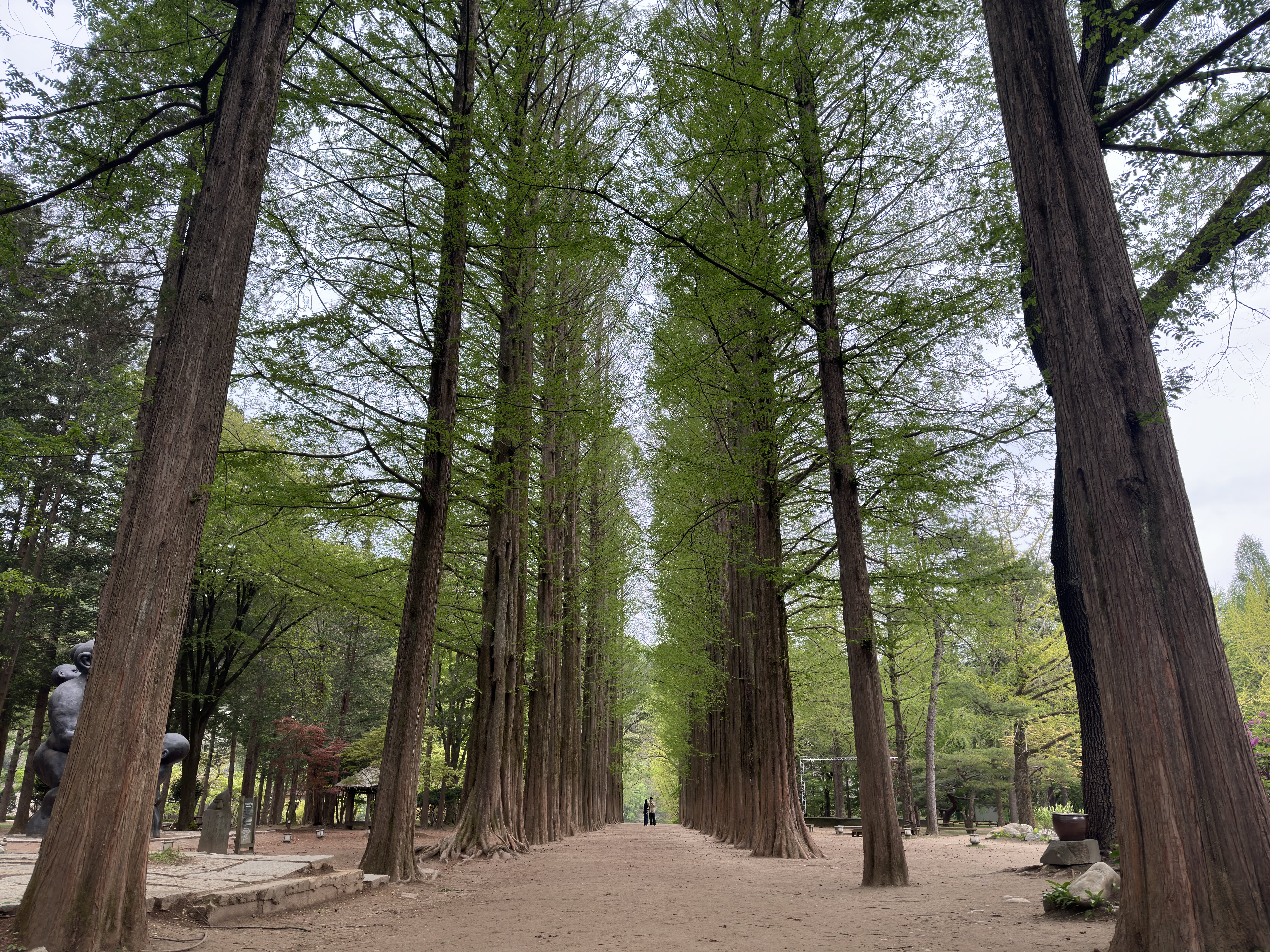 Nami Island · Alpaca World PrivateTour
