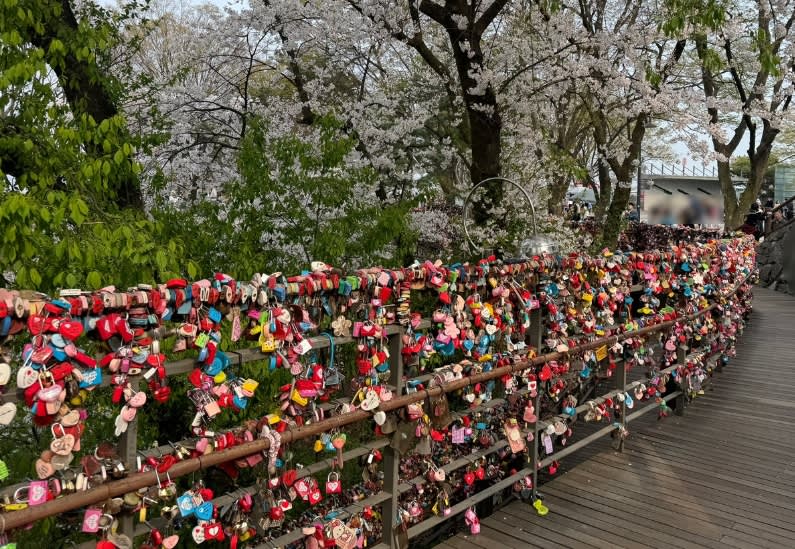 The Painters Show · N Seoul Tower · Gyeongbokgung + Hanbok · Hanok Village Private Tour