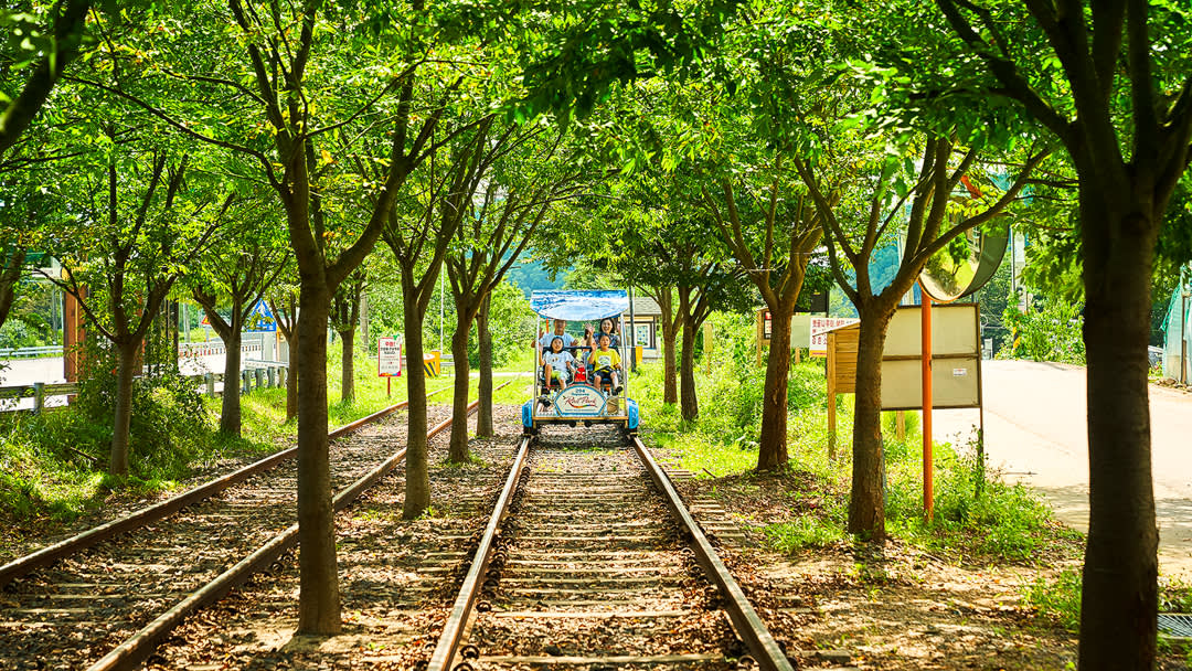 Gangchon Rail Bike + BBQ + Samaksan Cable Car Day Tour