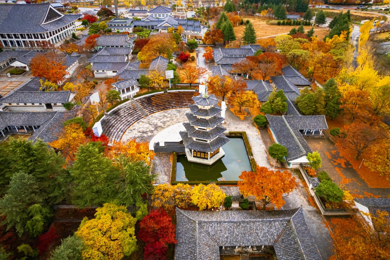 [From Busan] Gyeongju Autumn Foliage Day Tour