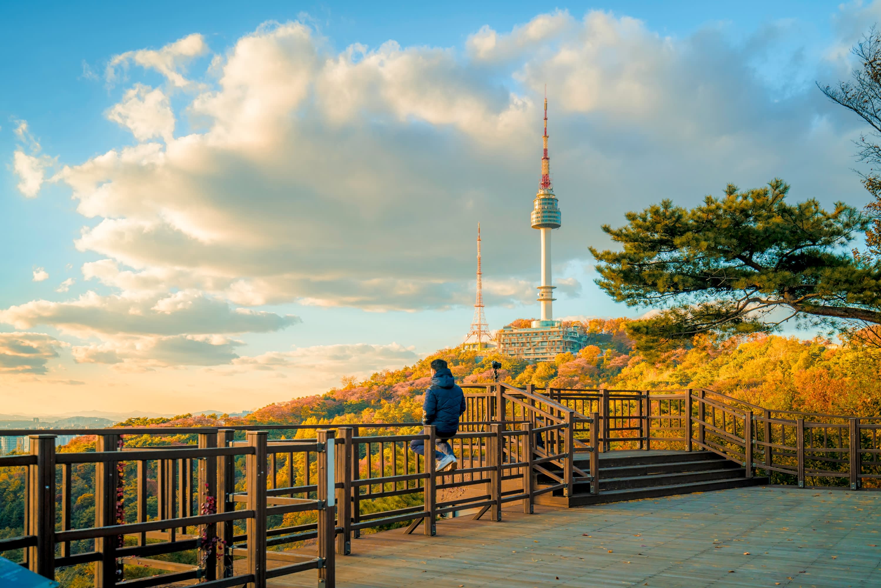 [Seoul] N Seoul Tower Observatory Ticket